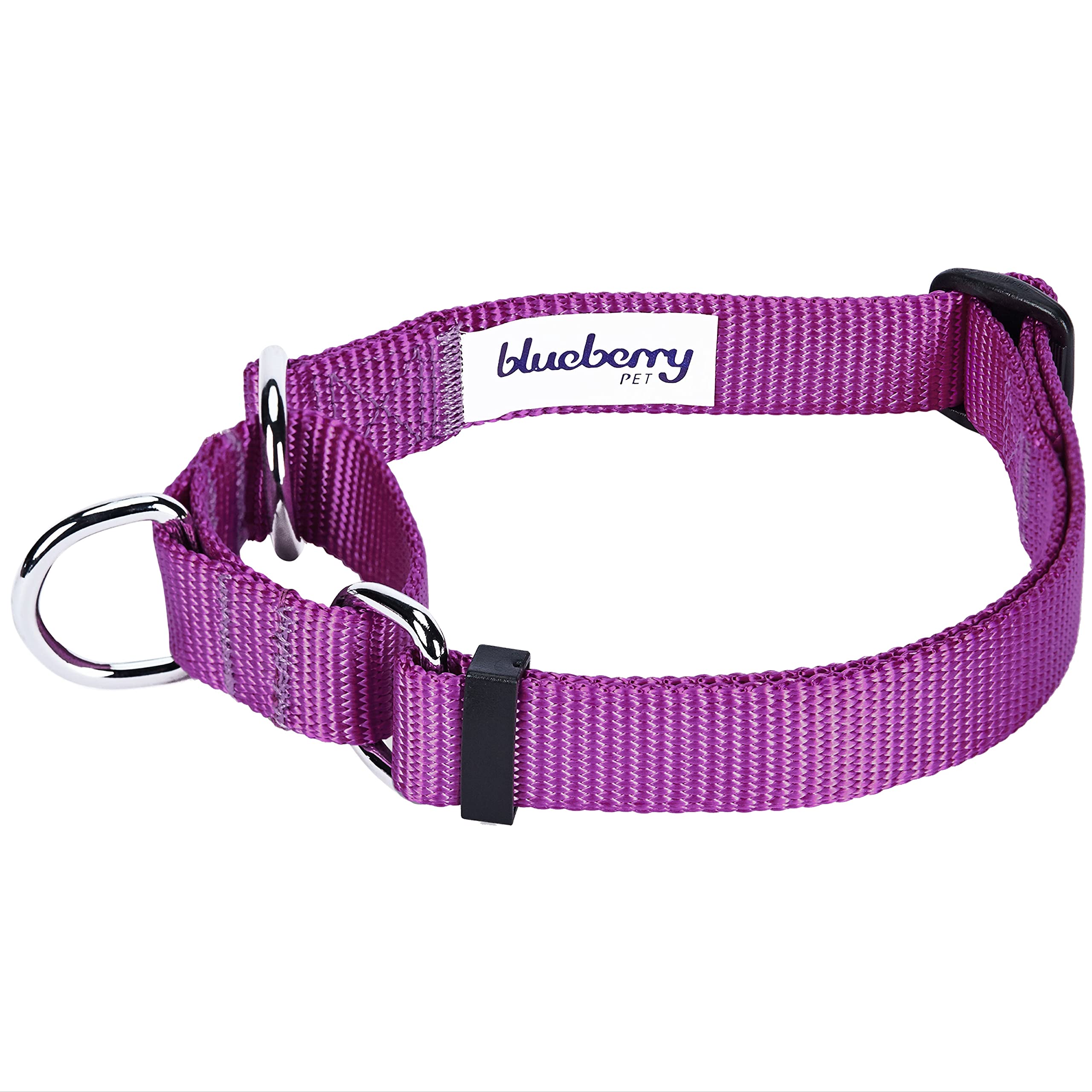 Blueberry Pet Essentials Martingale Safety Training Dog Collar, Violet, Large, Heavy Duty Nylon Adjustable Collars For Dogs
