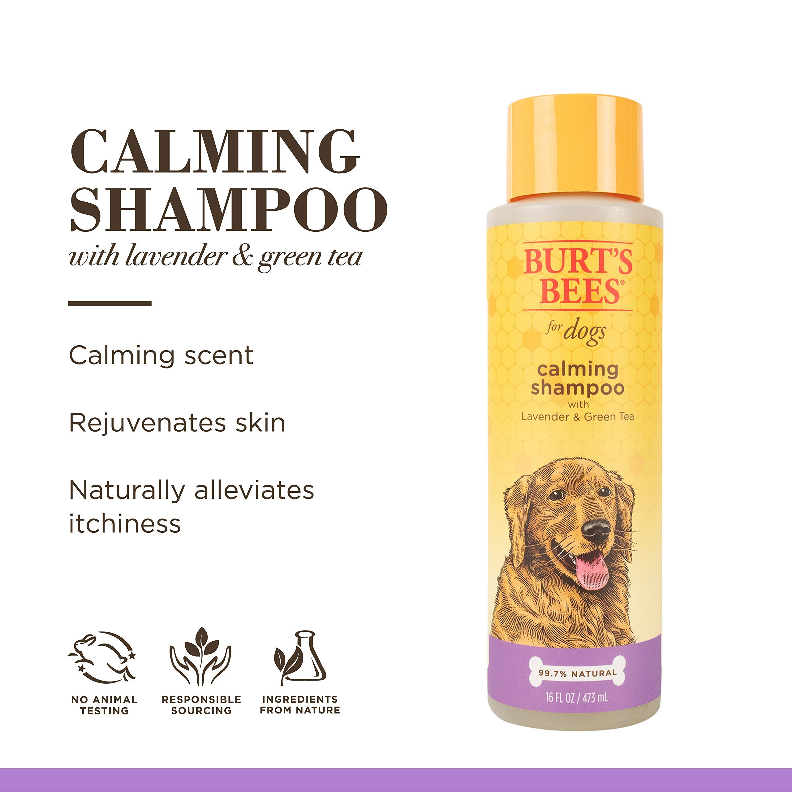 Burt'S Bees For Pets Calming Dog Shampoo With Lavender And Green Tea, 95% Natural Origin Formulas, Soothing Canine Cleanser - Gentle Wash, 16 Oz