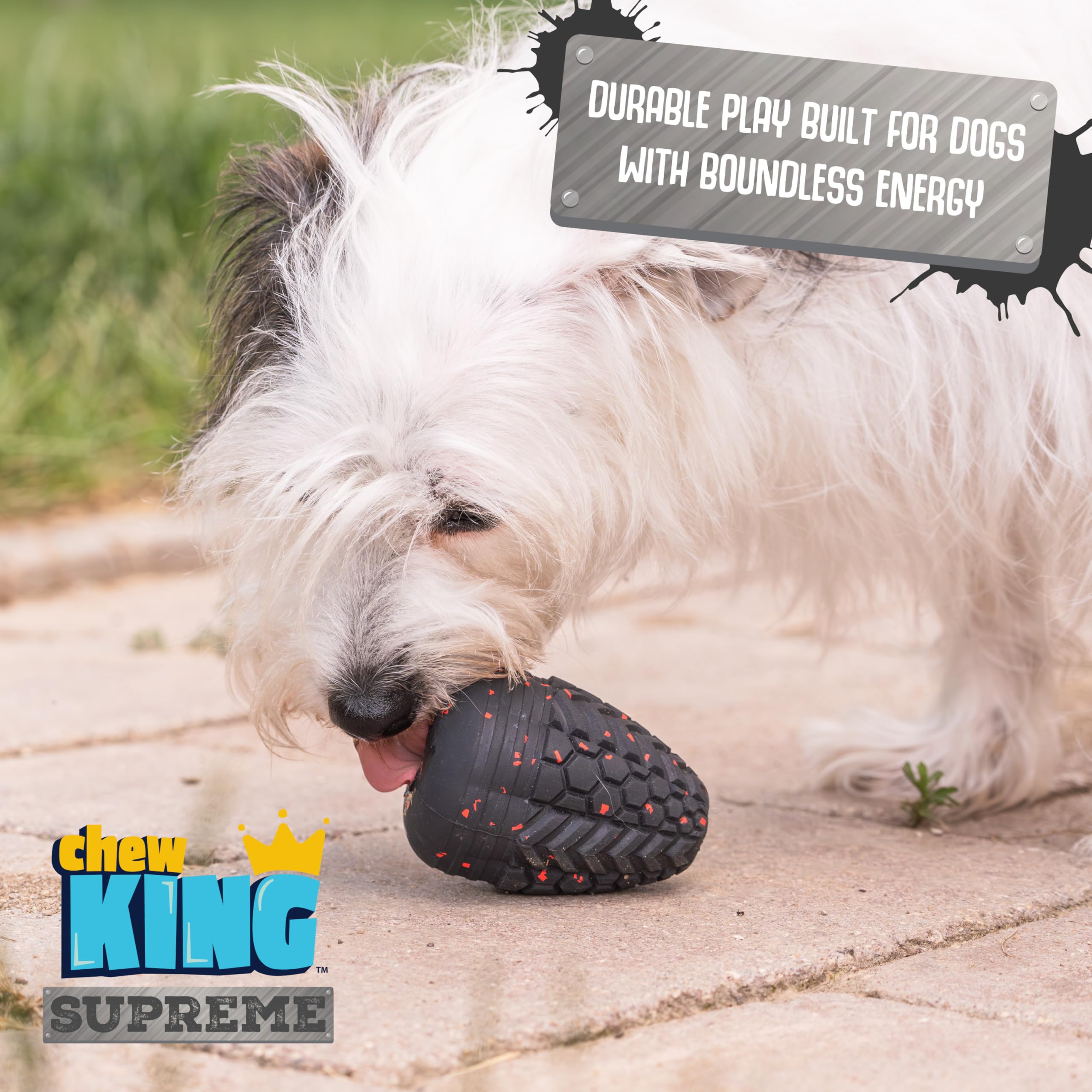 Chew King Dog Toy Collection - Medium Supreme Treater, Natural Rubber, Black, Model 22129219