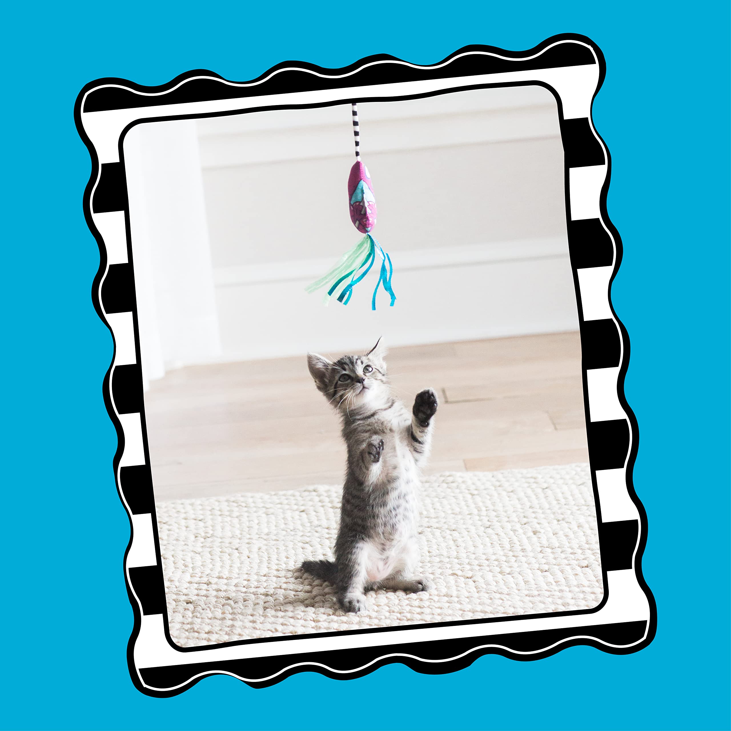 Fat Cat Worm Cat Wand Stuffed With 100% Organic Catnip Interactive Cat Toy