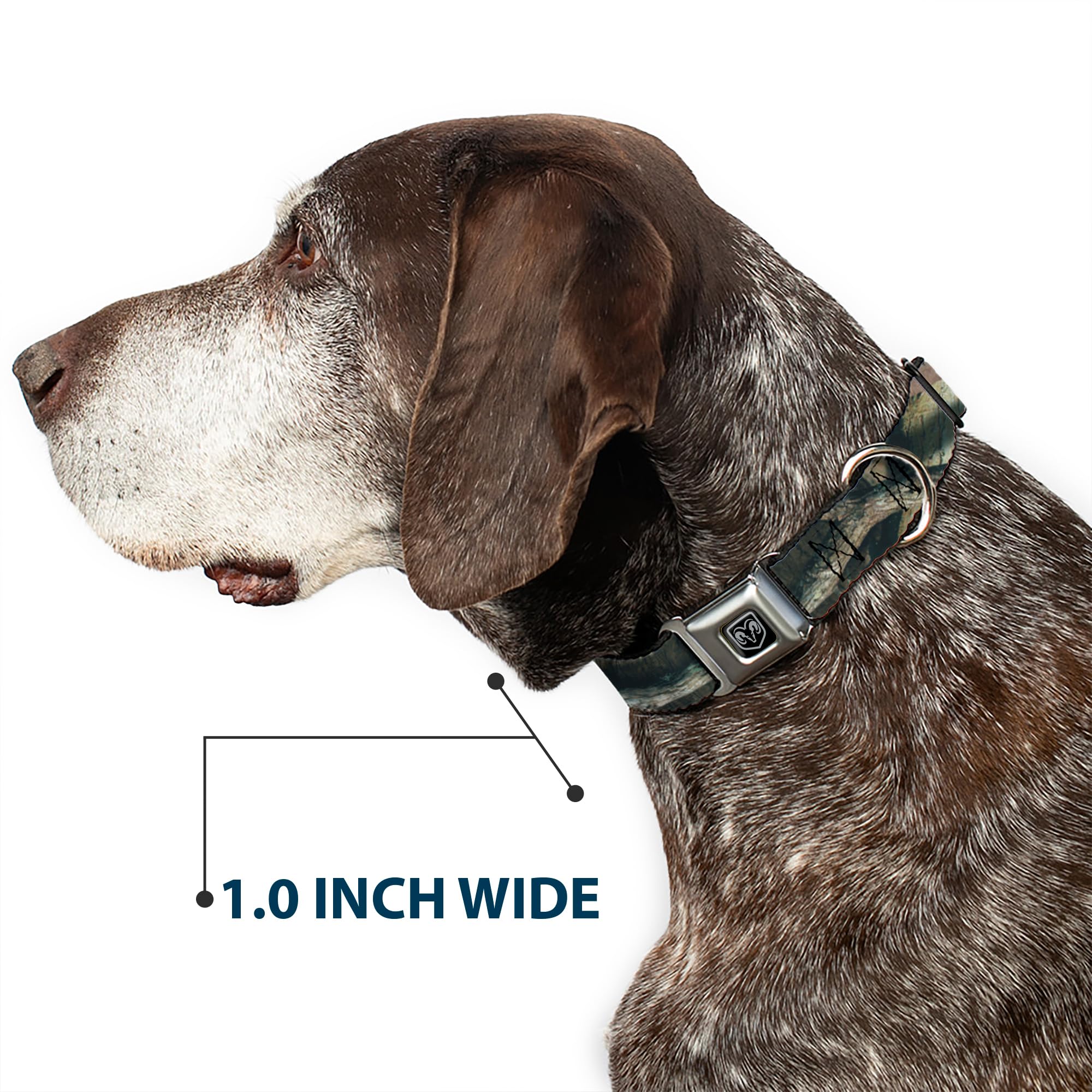 Buckle-Down Dog Collar Seatbelt Buckle Mossy Oak Break Up Infinity 18 to 32 Inches 1.5 Inch Wide