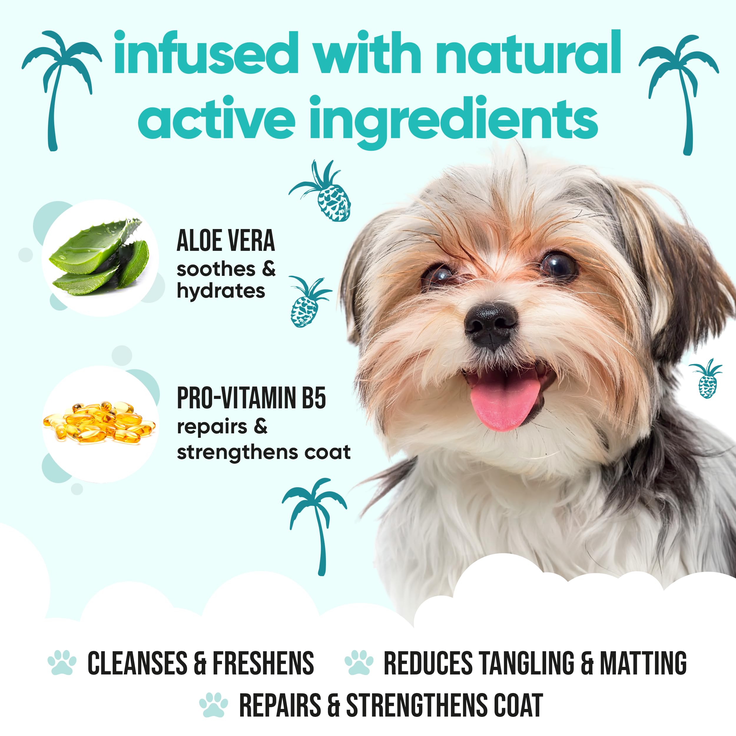 Tropical Dog Shampoo By Buddycare | Deep Cleansing Shampoo For Dogs | Tropical Scented | With Aloe Vera And Pro Vitamin B5 (50.7