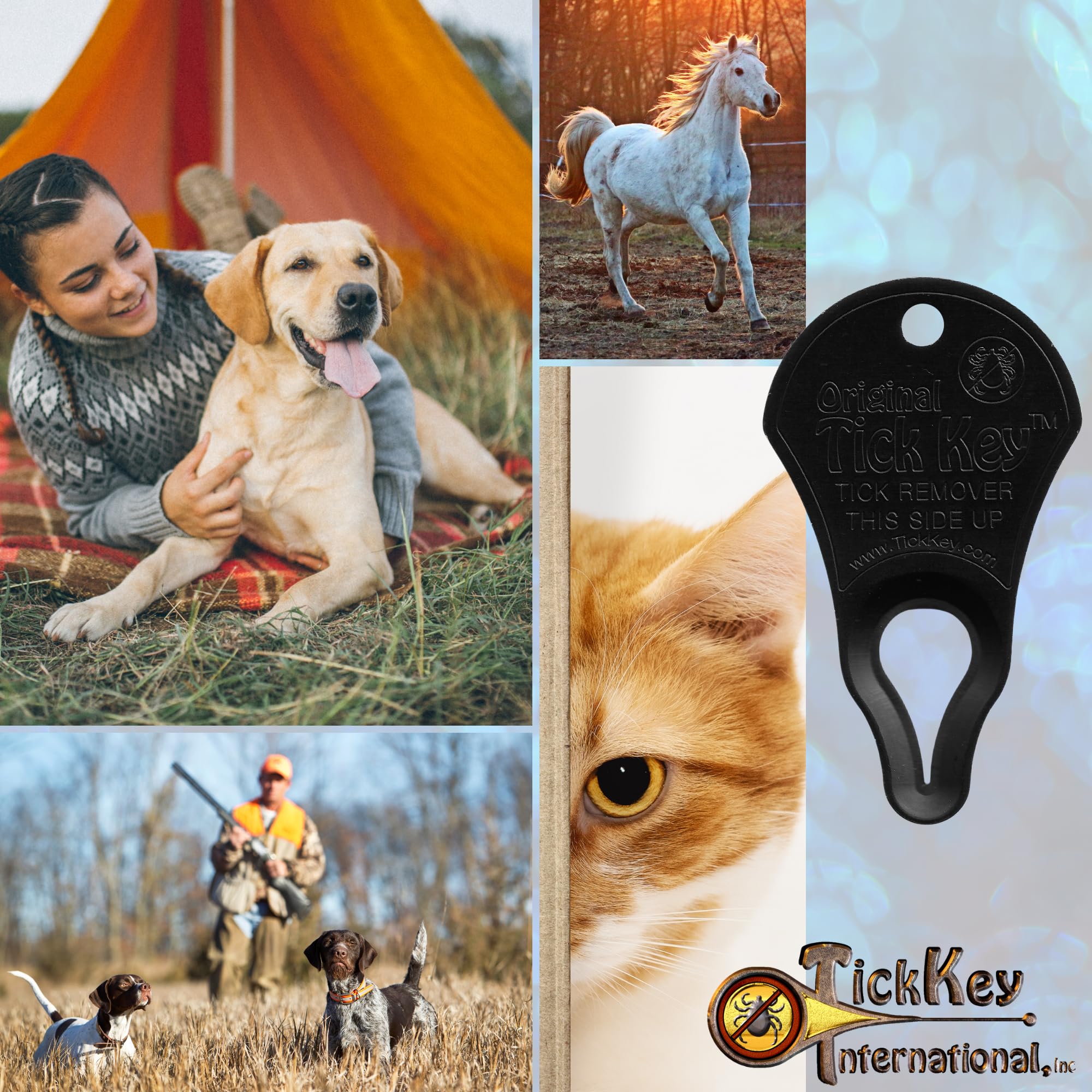 The Original Tick Key - Tick Detaching Device - Portable, Safe And Highly Effective Tick Detaching Tool (Black)