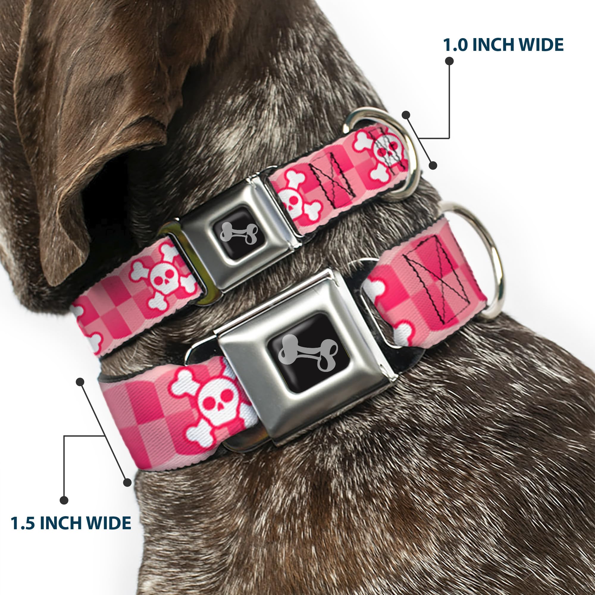 Buckle-Down Seatbelt Buckle Dog Collar - Cute Skulls W/Checkers Pinks/White - 1.5 Wide - Fits 13-18 Neck - Small