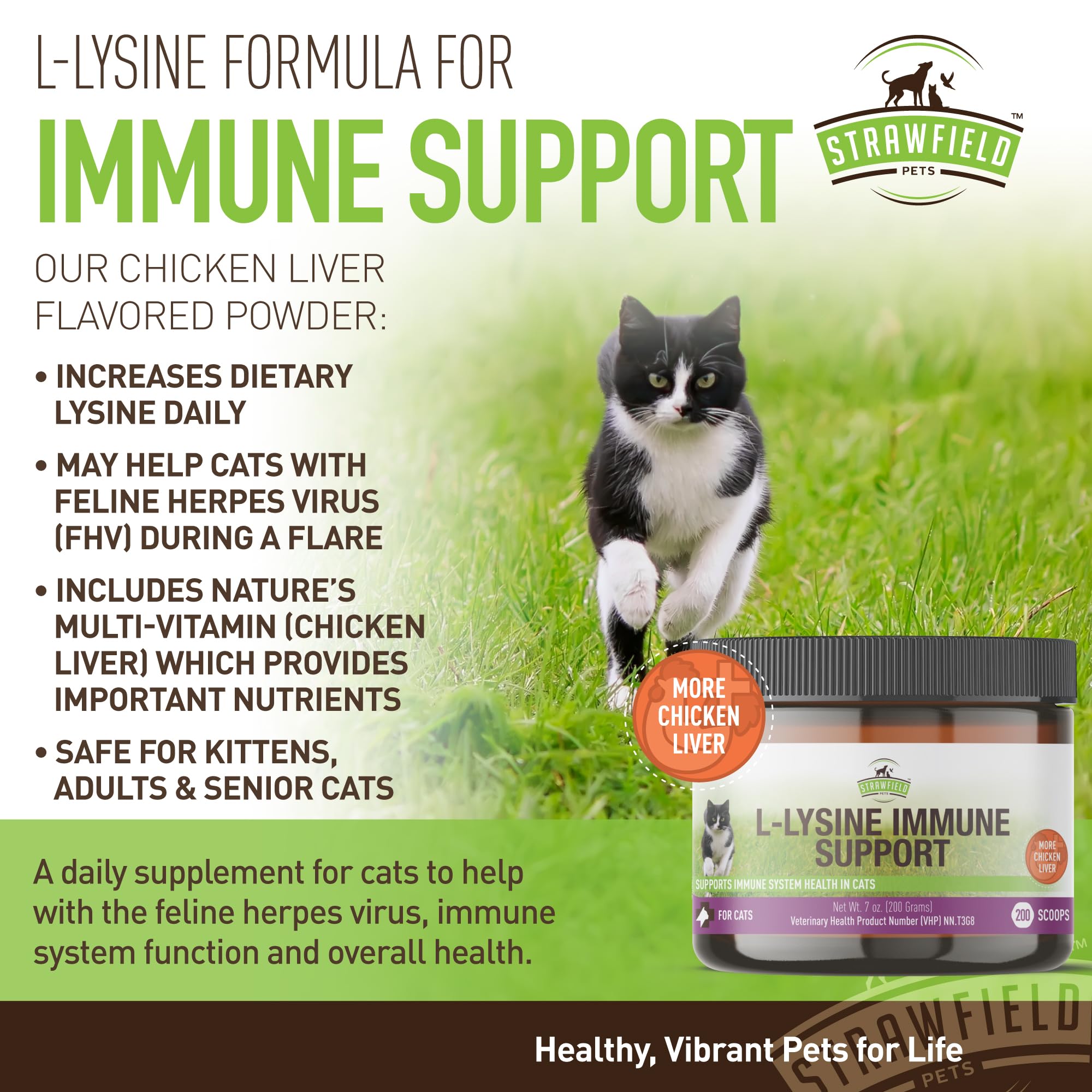 L-Lysine for Cats Supplement Powder Granules for Cat Cold, Sneezing, Congestion, Running Nose, Respiratory, Allergy Relief  Cats
