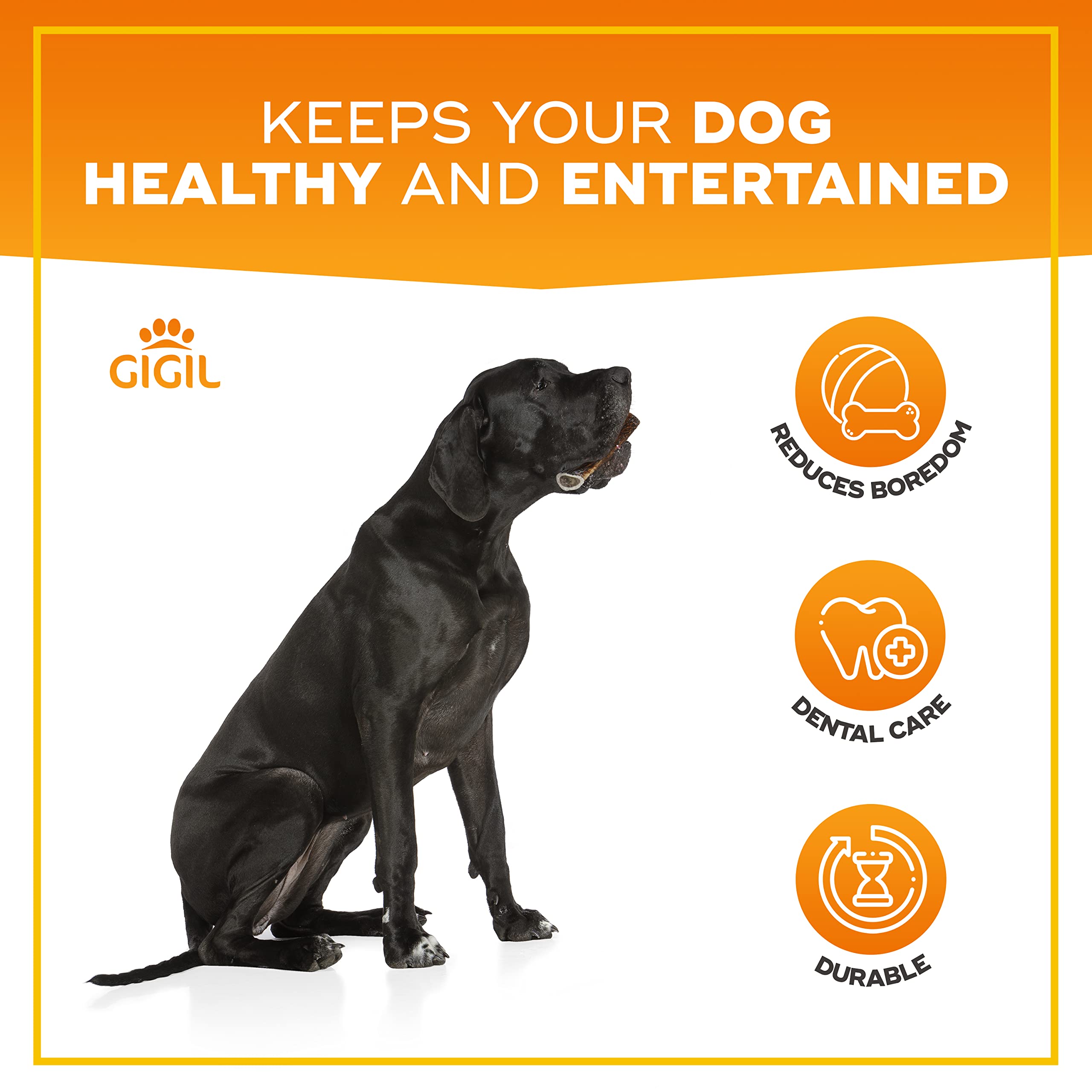 Gigil Treat You Pet Like A King - 100% Natural Deer Antlers For Large Dogs - Premium Elk Antlers - Long Lasting Dog Chew Toy - Naturally Shed And Organic Antlers For Dogs - Size Xl