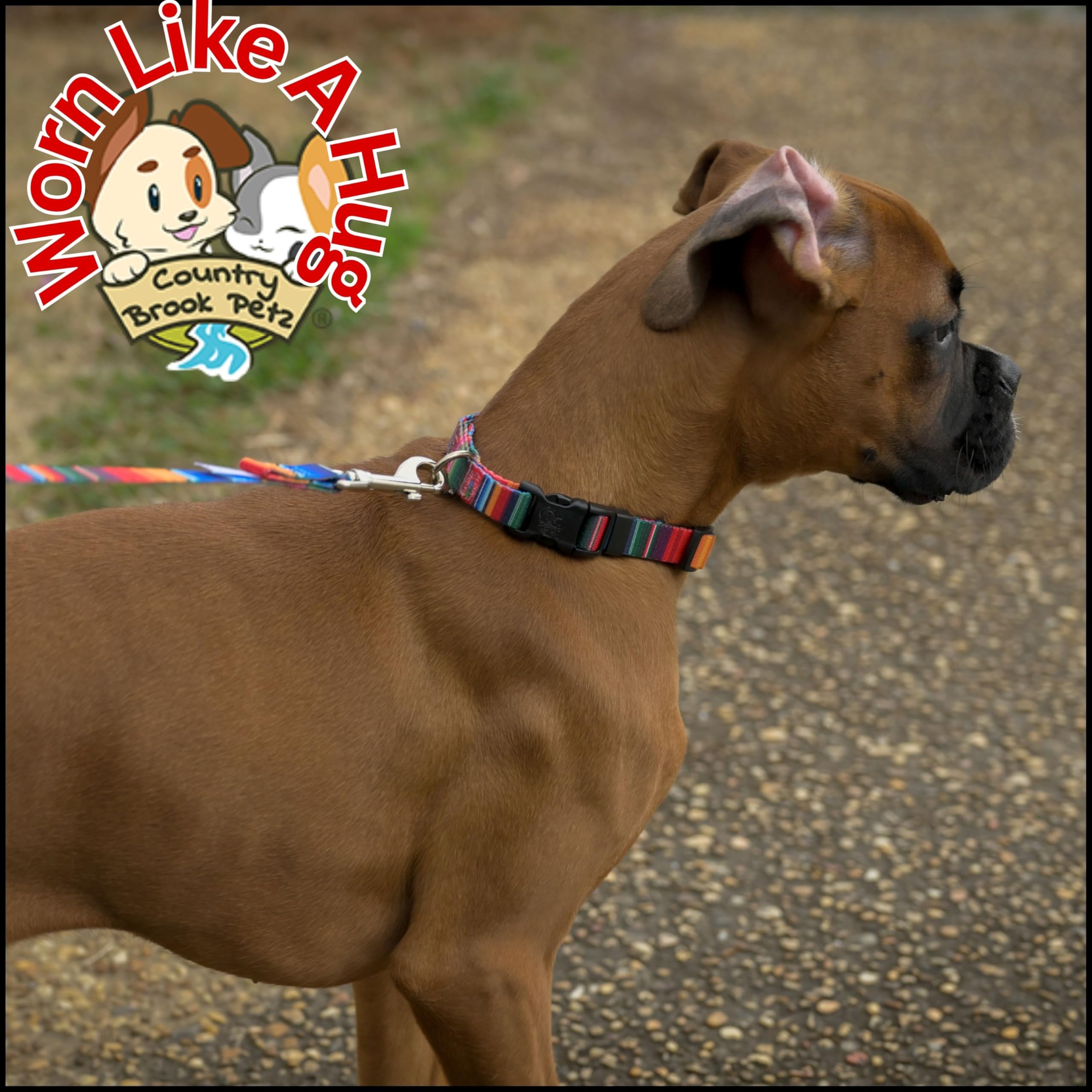 Country Brook Petz - Deluxe Serape Dog Collar - Made in The U.S.A. - Country and Western Collection Featuring Rustic Designs (1/