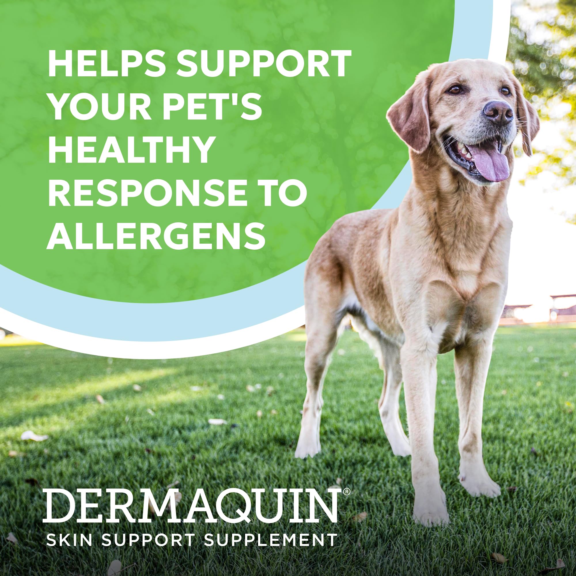 Nutramax Dermaquin Skin Support Supplement for Large Dogs, Supports Healthy Response to Allergens, with Hardy Kiwi, Omega-3s, an