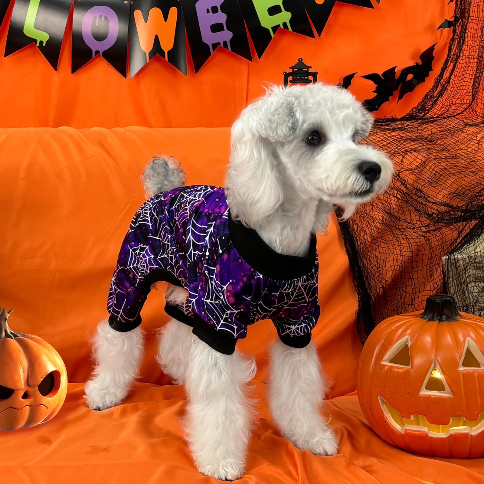 Xpudac Halloween Dog Pajamas For Small Medium Dogs Spider Puppy Costume Soft Pet Clothes Outfit Cat Jumpsuits