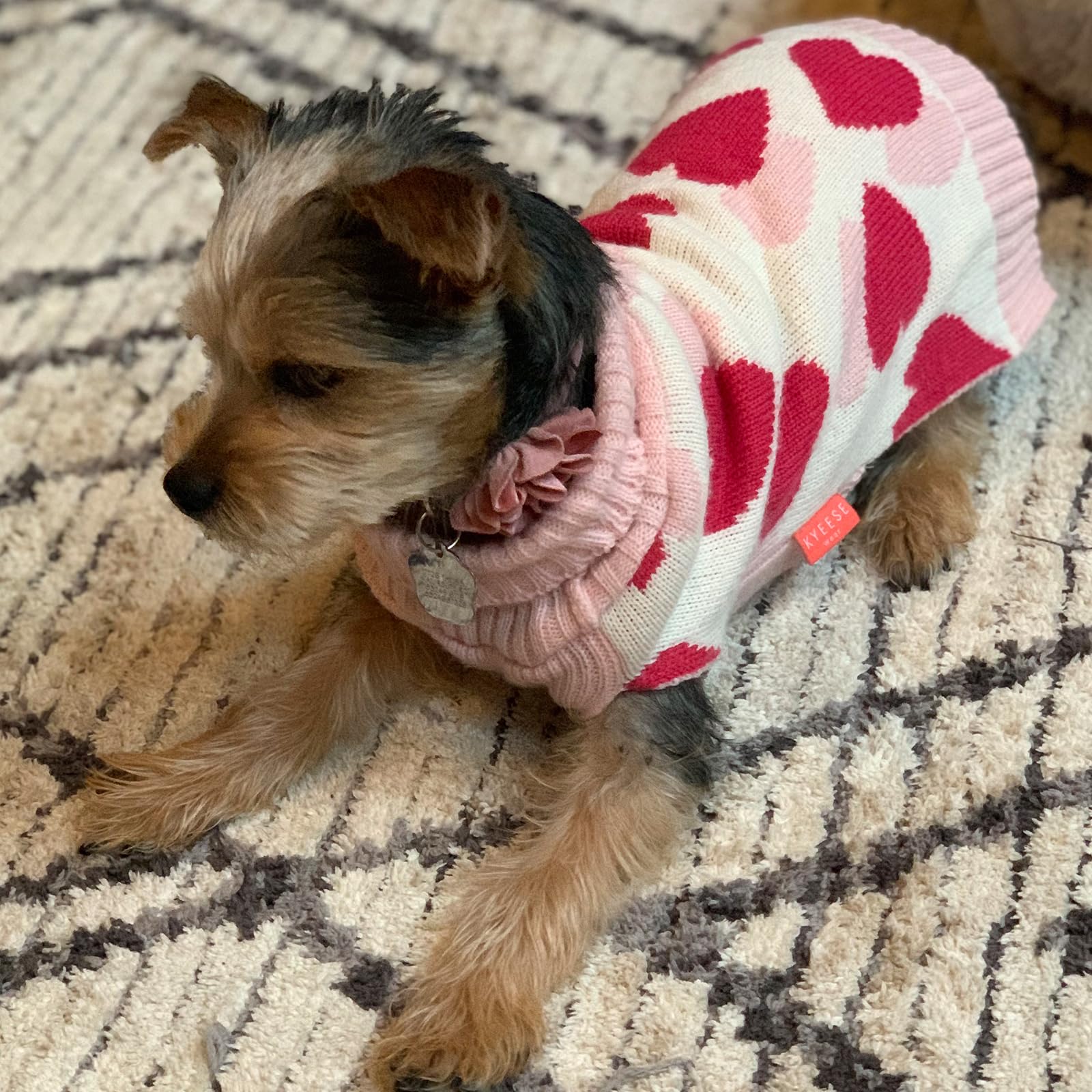Kyeese Dogs Sweaters Red Heart With Leash Hole,Xs