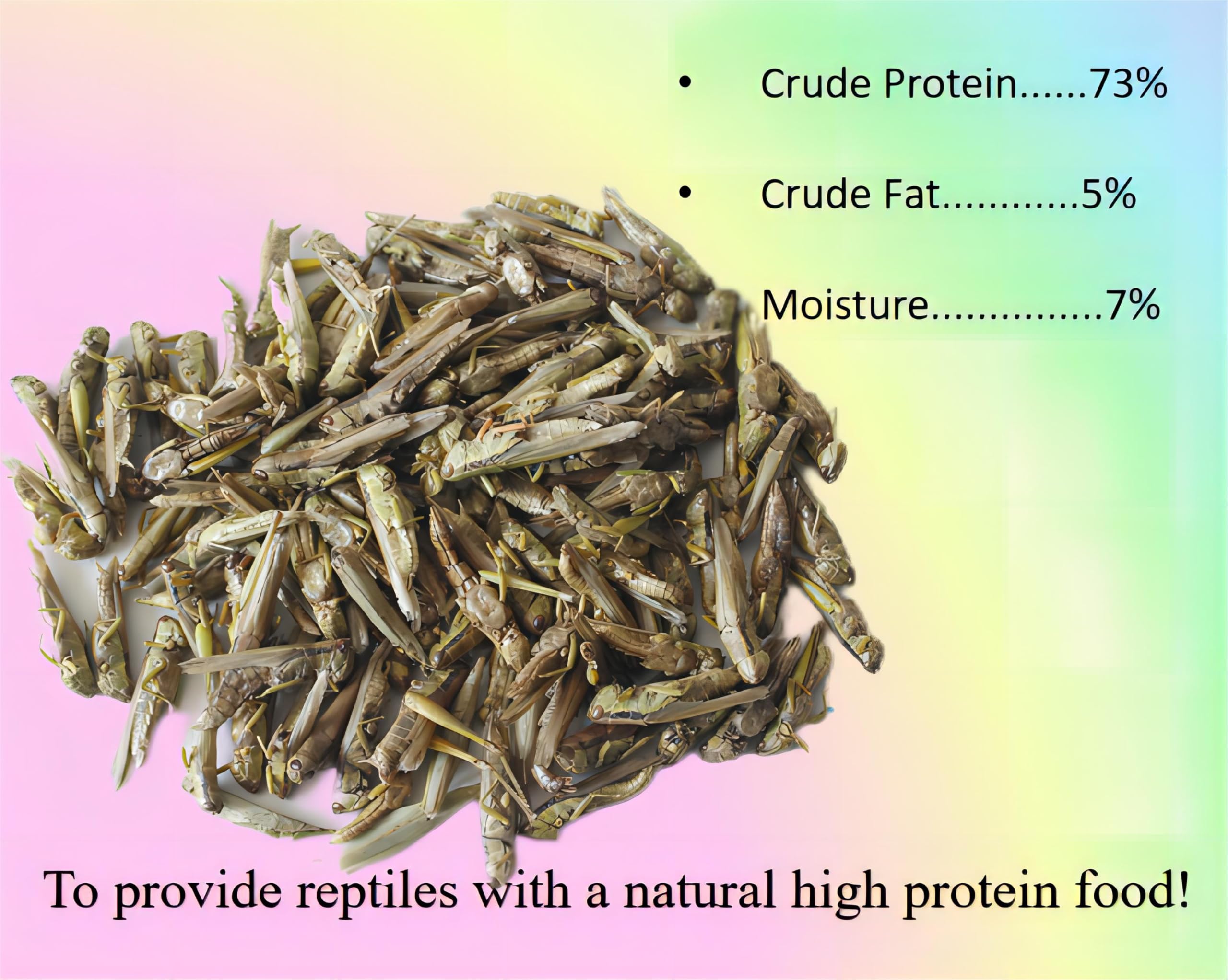 Classic Flock 2oz Freeze-Dried Grasshoppers - Nutritious Reptile & Amphibian Food for High Protein and Essential Amino Acids