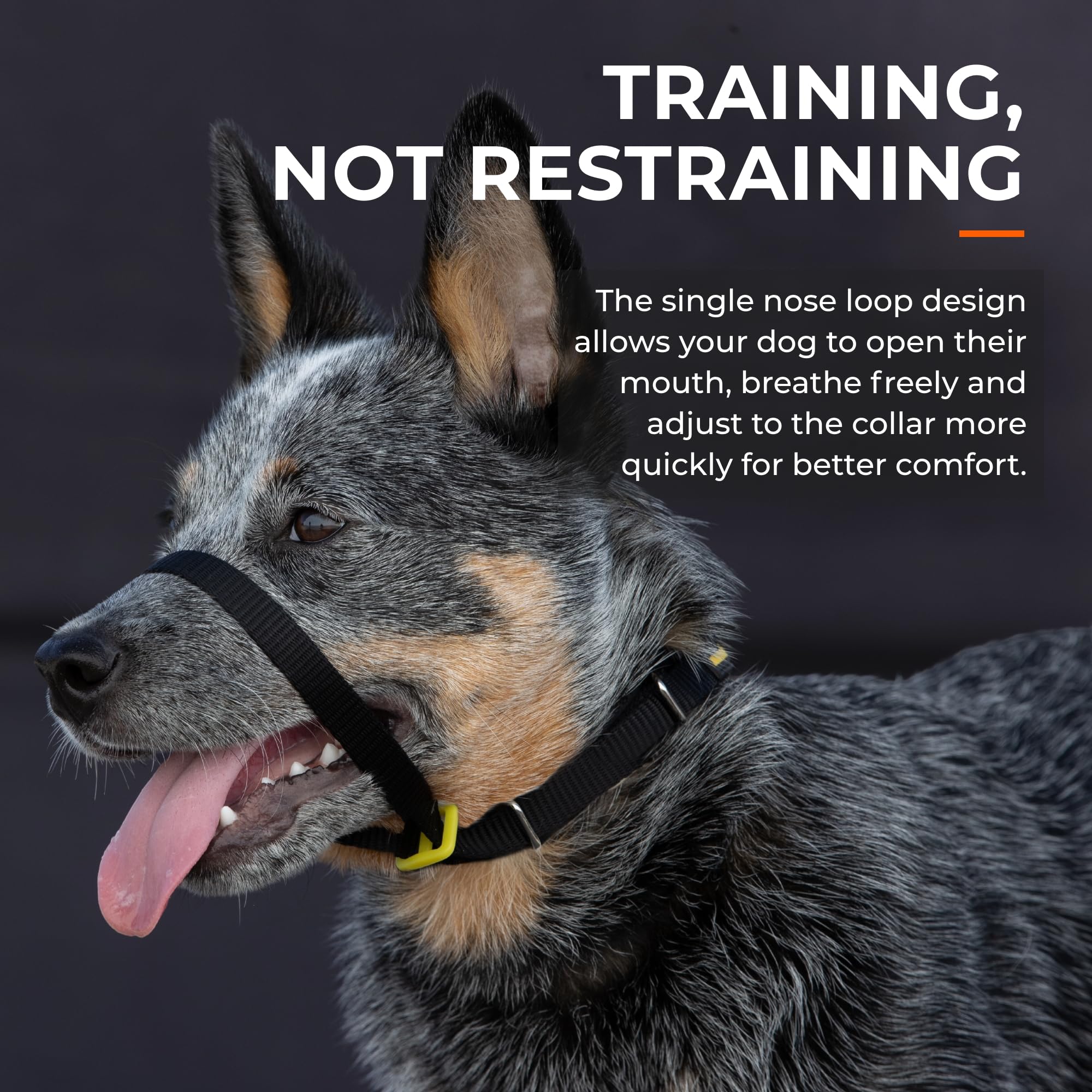 Canny Collar For Dog Training - The Kind, Safe And Comfortable No Pull Dog Collar, Train Your Dog Not To Pull On A Leash - Easy To Use Dog Training Headcollar For Enjoyable Walks - Black Size 3