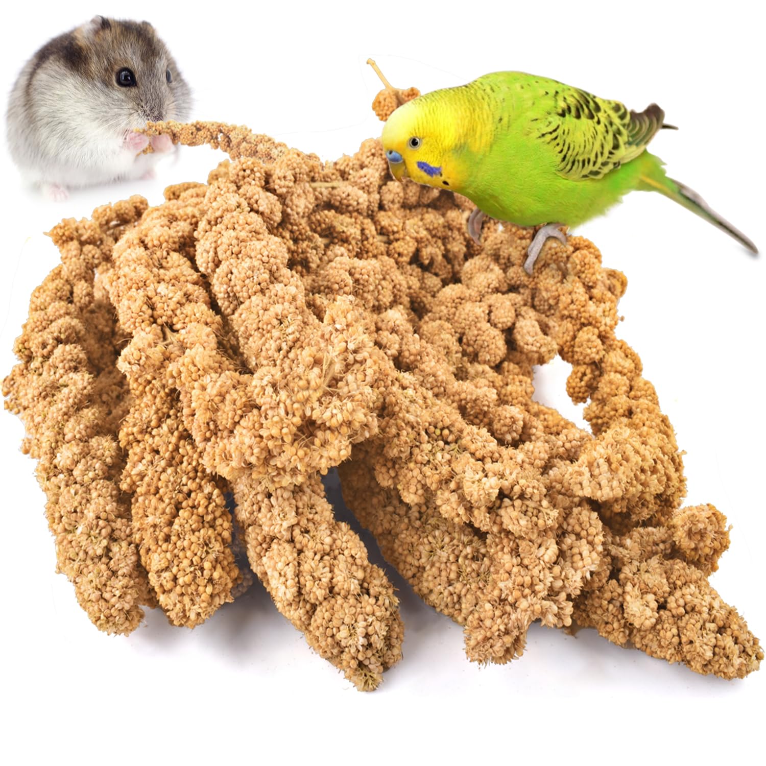 KATUMO 1.1LB Spray Millet Treat for Birds, Natual Sun-Dried Bird Millet Parrot Food for Parakeet Budgie Cockatiel Finches Lovebi