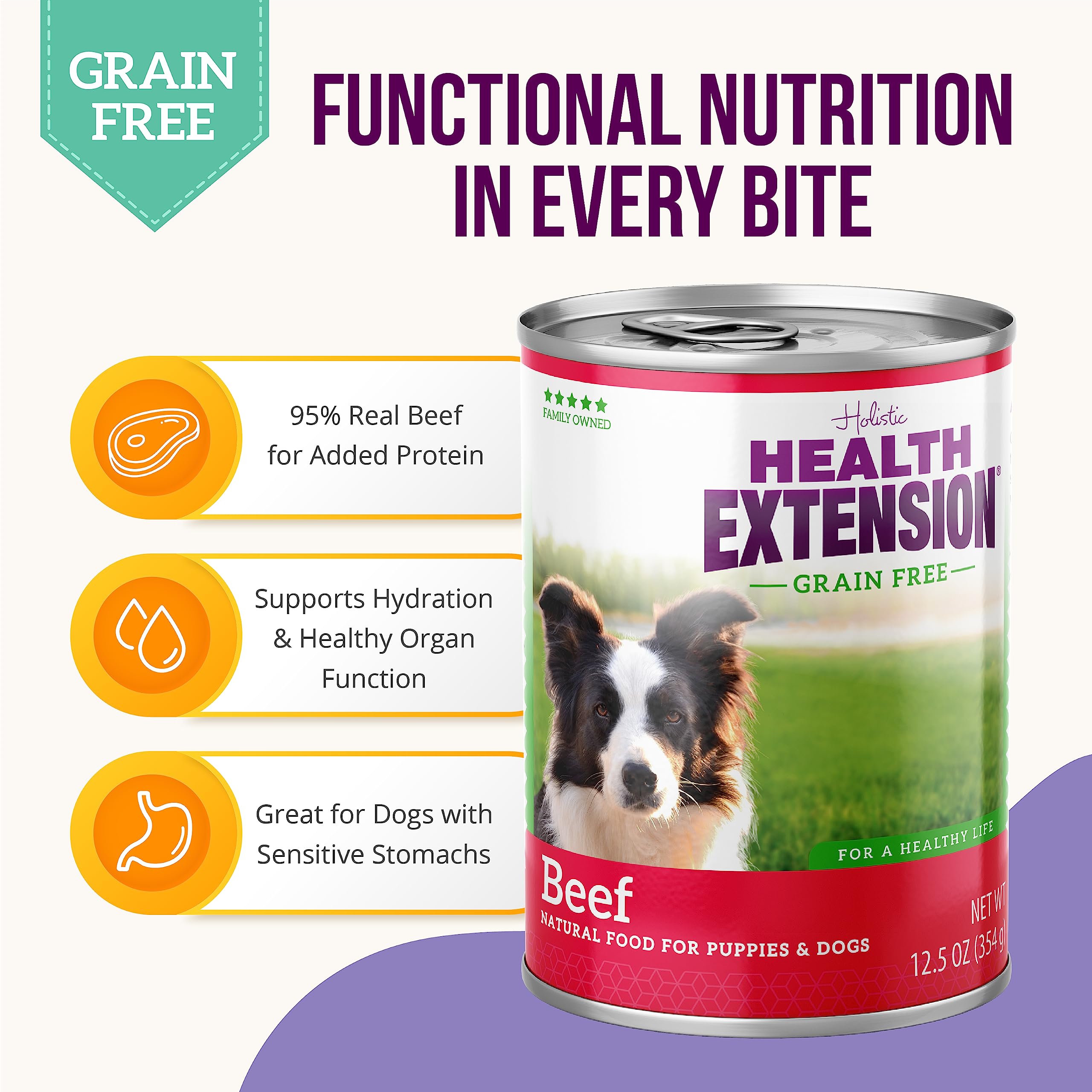 Health Extension Beef Entr  e Wet Dog Food Grain-Free, 12.5 oz - High-Protein Recipe, Hydration Support, Ideal for Sensitive Sto
