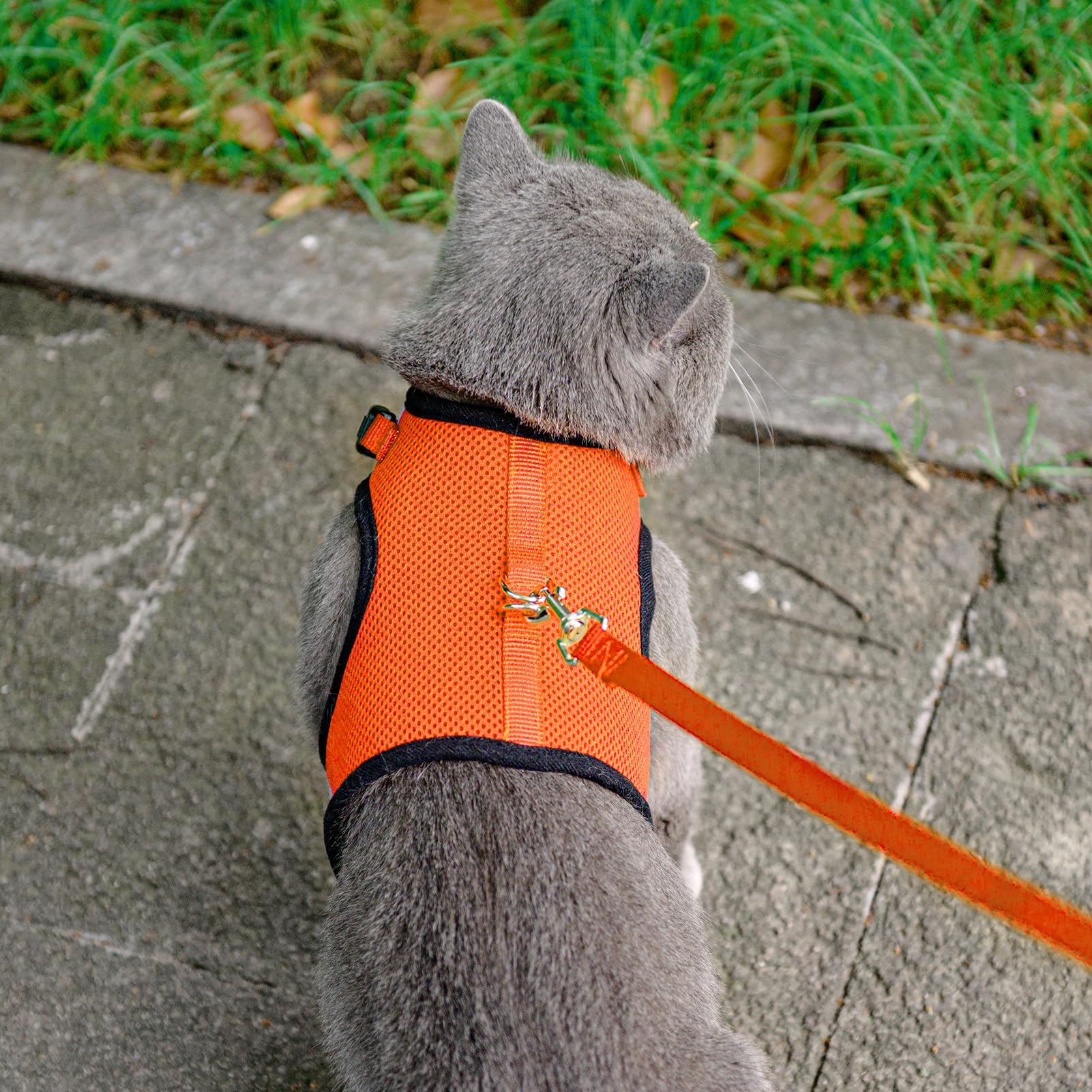 Pupteck Soft Mesh Cat Vest Harness And Leash Set Puppy Padded Pet Harnesses Escape Proof For Cats Small Dogs Rabbits Bunny, Oran