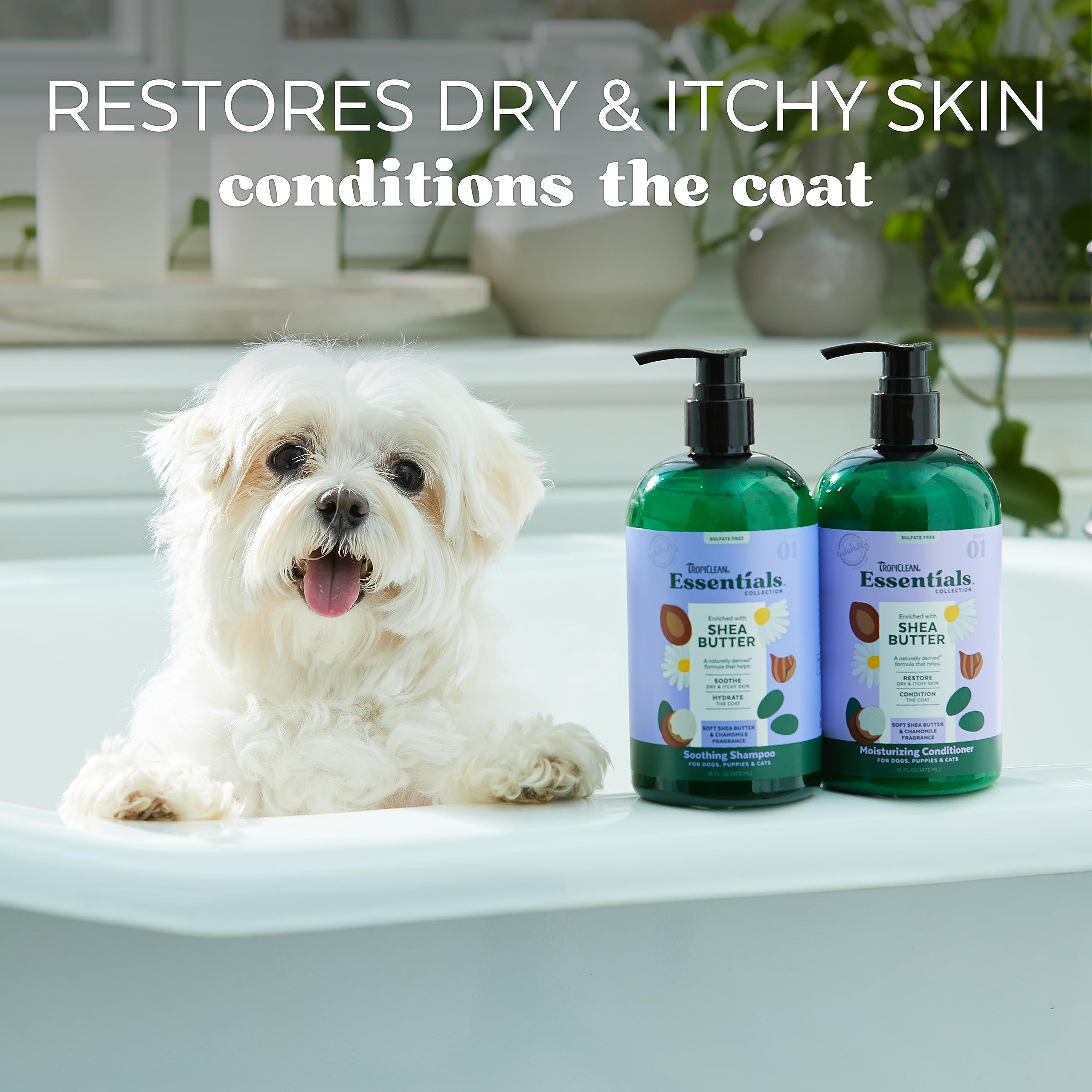 Tropiclean Essentials Shea Butter Conditioner For Dogs | Restore Dry & Itchy Skin | Condition The Coat | Derived From Natural In