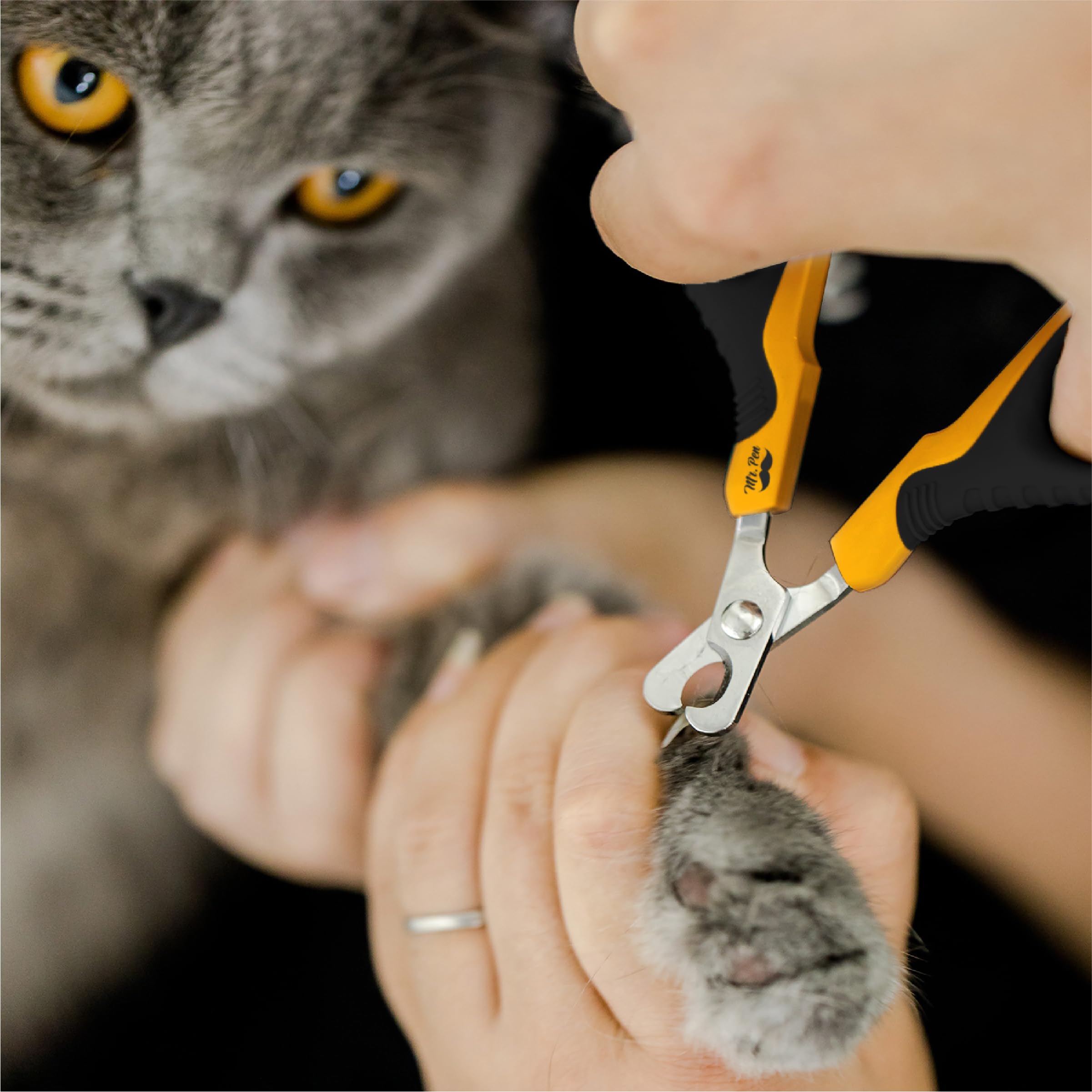 Mr. Pen- Cat Nail Clipper, Cat Nail Trimmer, Cat Nail Clippers, Cat Claw Clippers, Cat Clippers For Nails, Pet Nail Clippers, Kitten Nail Clipper Small Dog Nail Clipper, Cat Claw Trimmer, Orange/Black