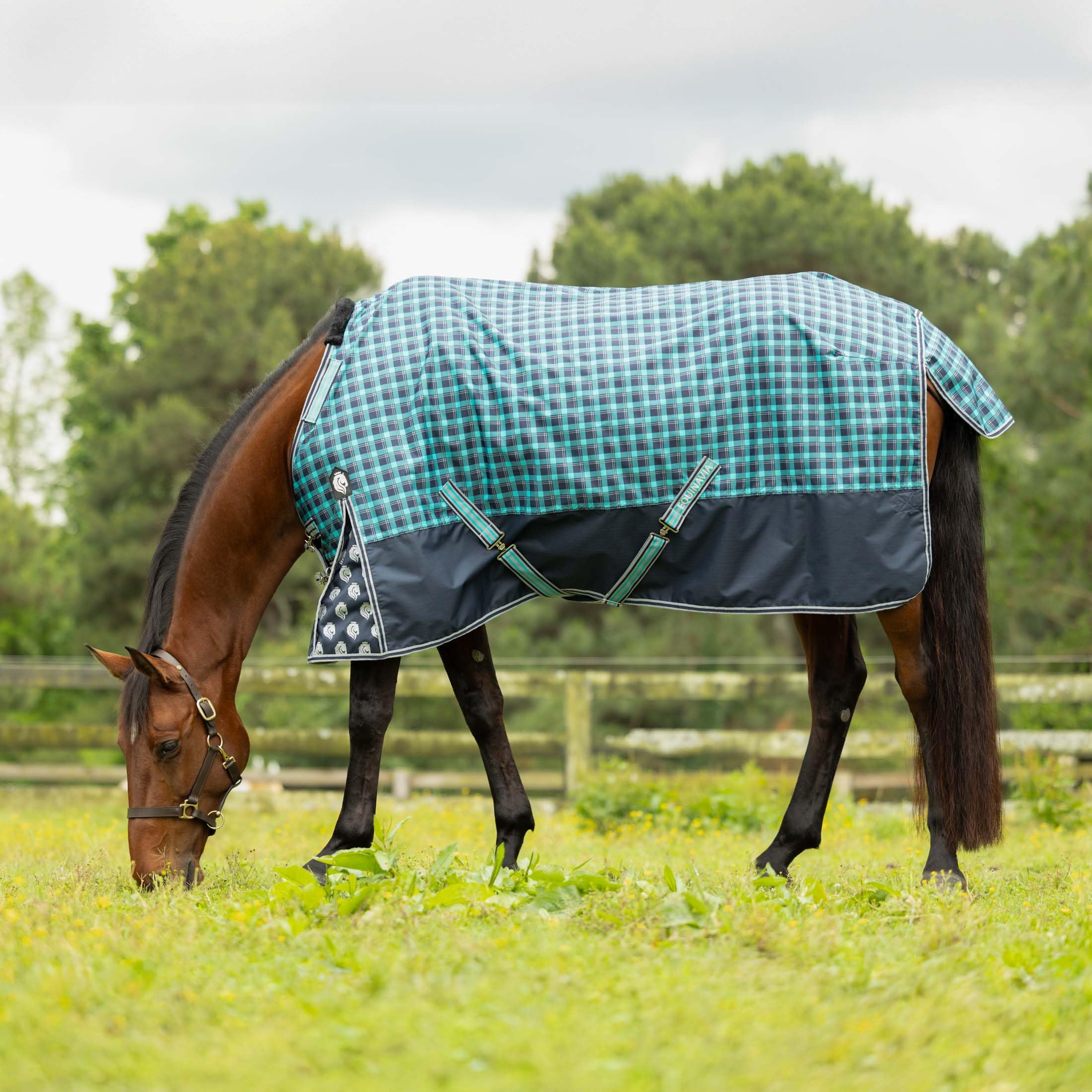 Equinavia Norse No Fill Horse Rain Blanket (0G) | Waterproof Lightweight Turnout Sheet - Black - 66 In - Navy/Turquoise - 78 In