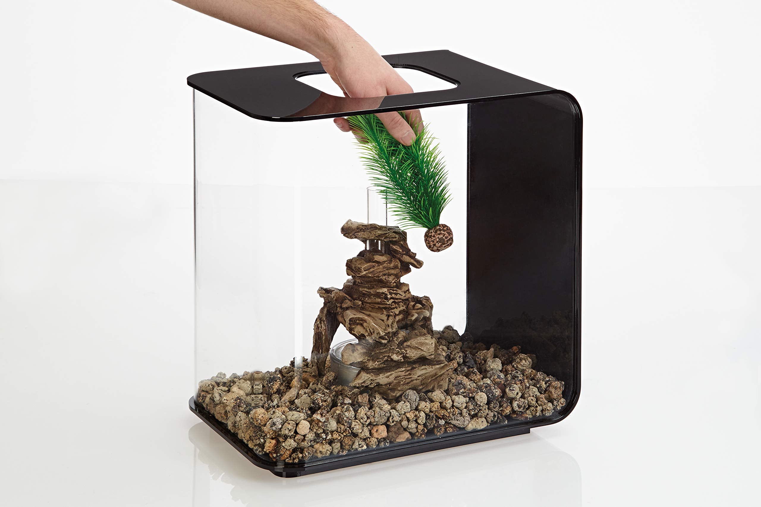 Biorb 46083.0 Feather Fern Set Small Green Aquariums