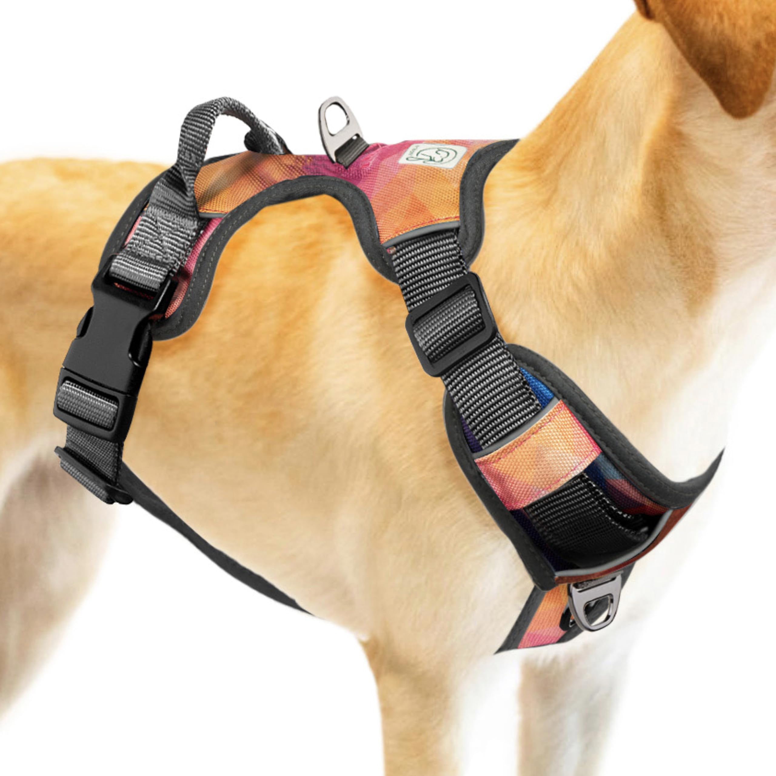 Embark Urban Dog Harness, No Pull Dog Harness With 2 Leash Clips, Dog Harness For Medium Dogs No Pull. Front & Back With Control