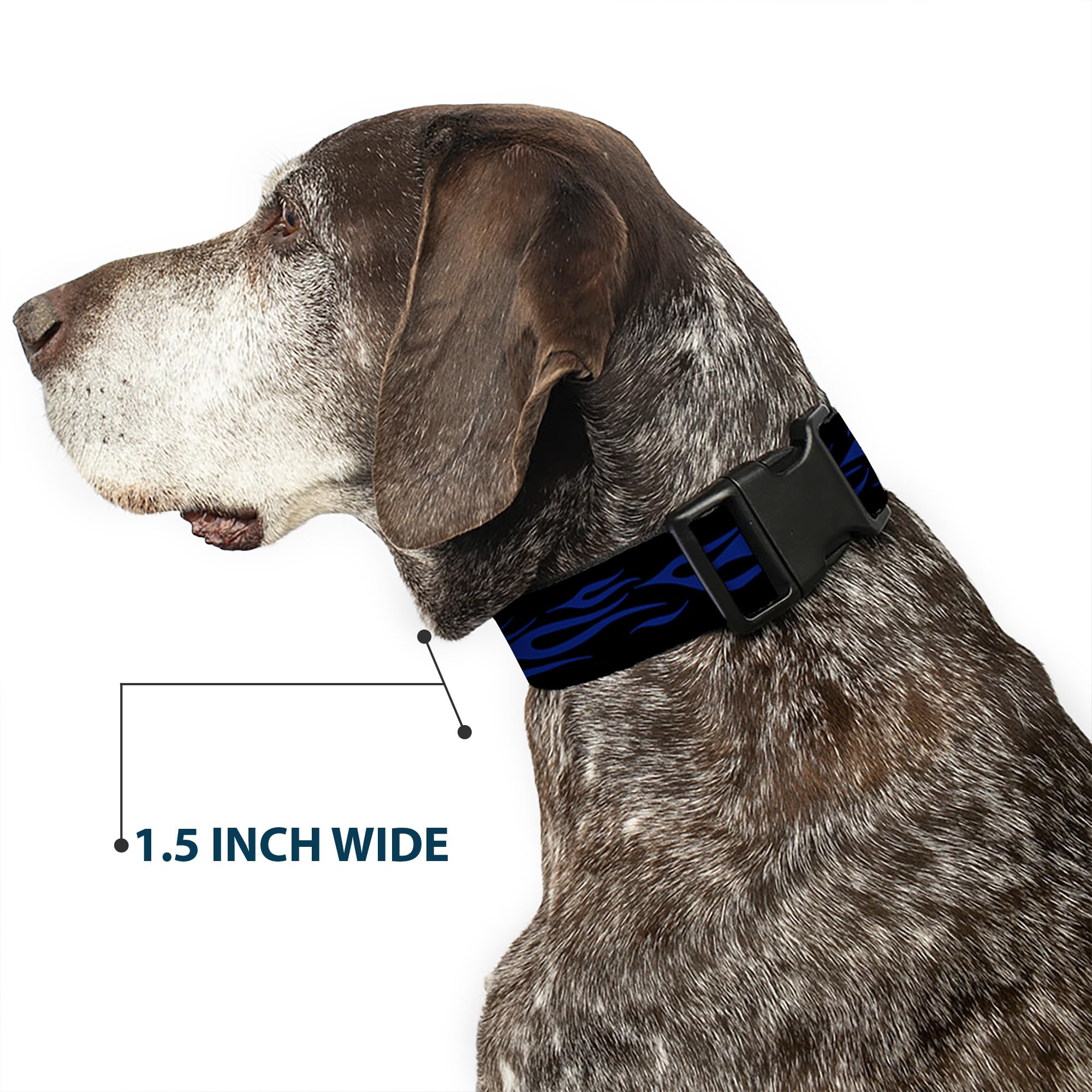 Buckle-Down Plastic Clip Collar - Flame Blue - 1.5 Wide - Fits 13-18 Neck - Small