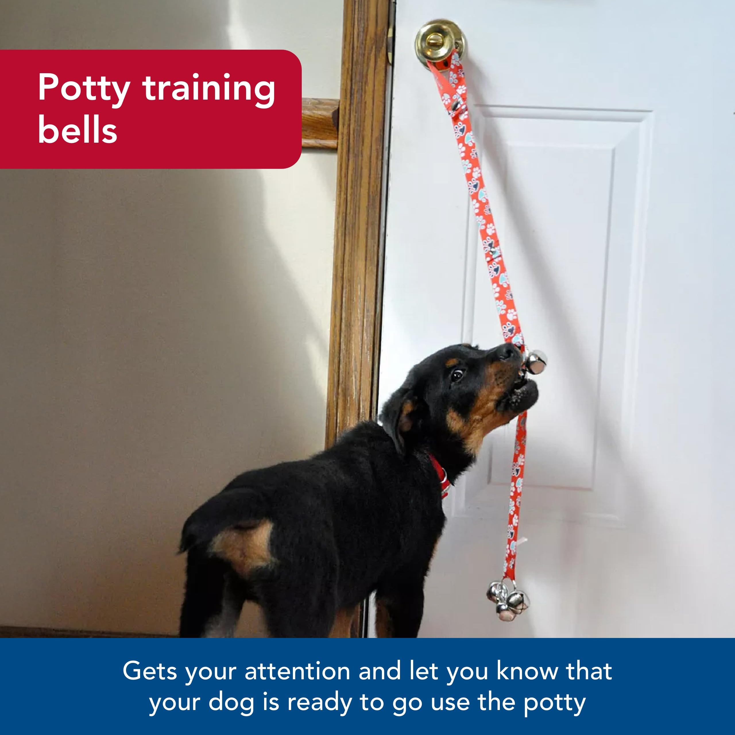 Coastal Pet - Advance - Dog Potty Training Bells, Black, 1' X 31'