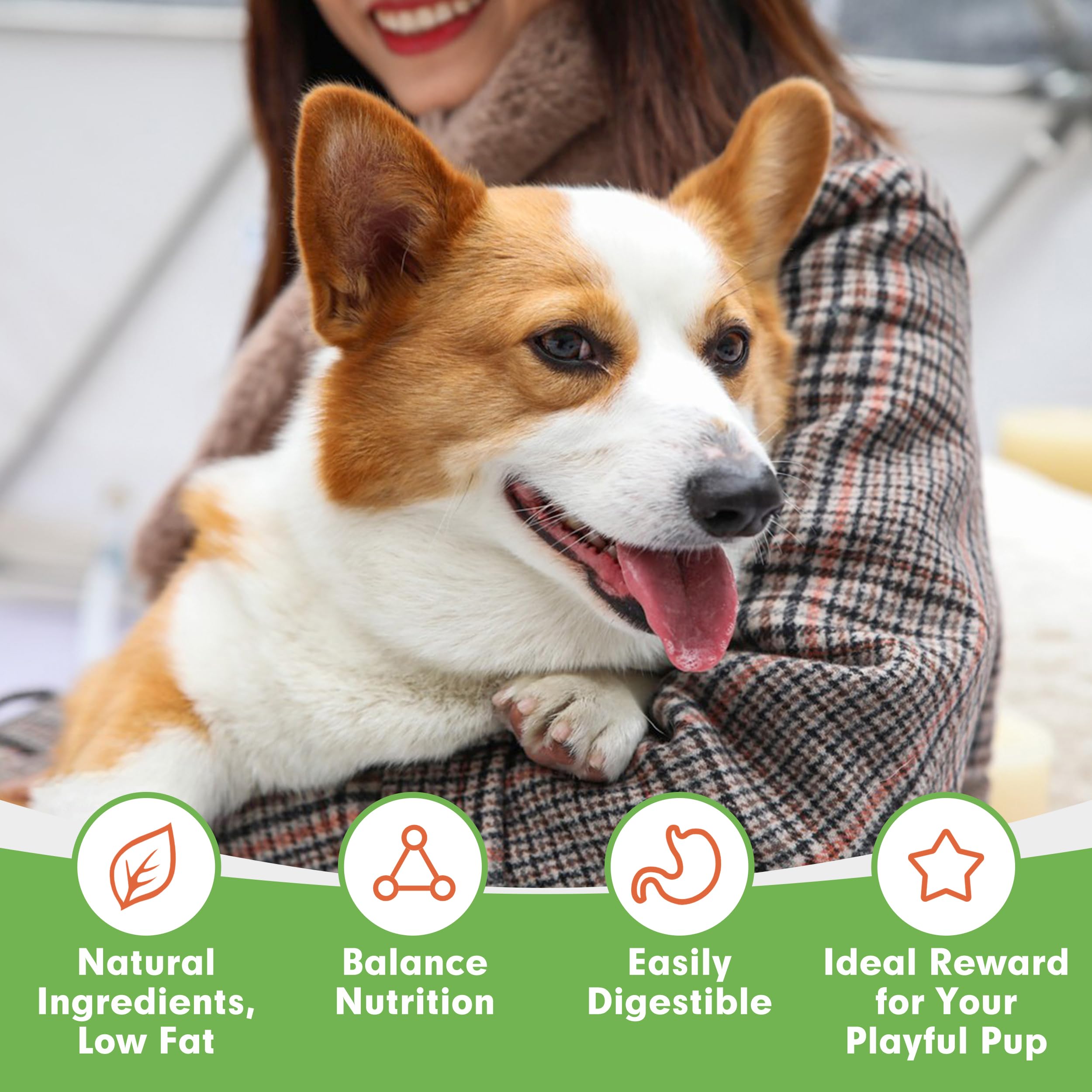 MON2SUN Rawhide Free Dog Treats, 4 Inch Chicken Wrapped Cod Fillet Dog Snacks for Small Dogs, Soft and Training Treats, 20oz (56