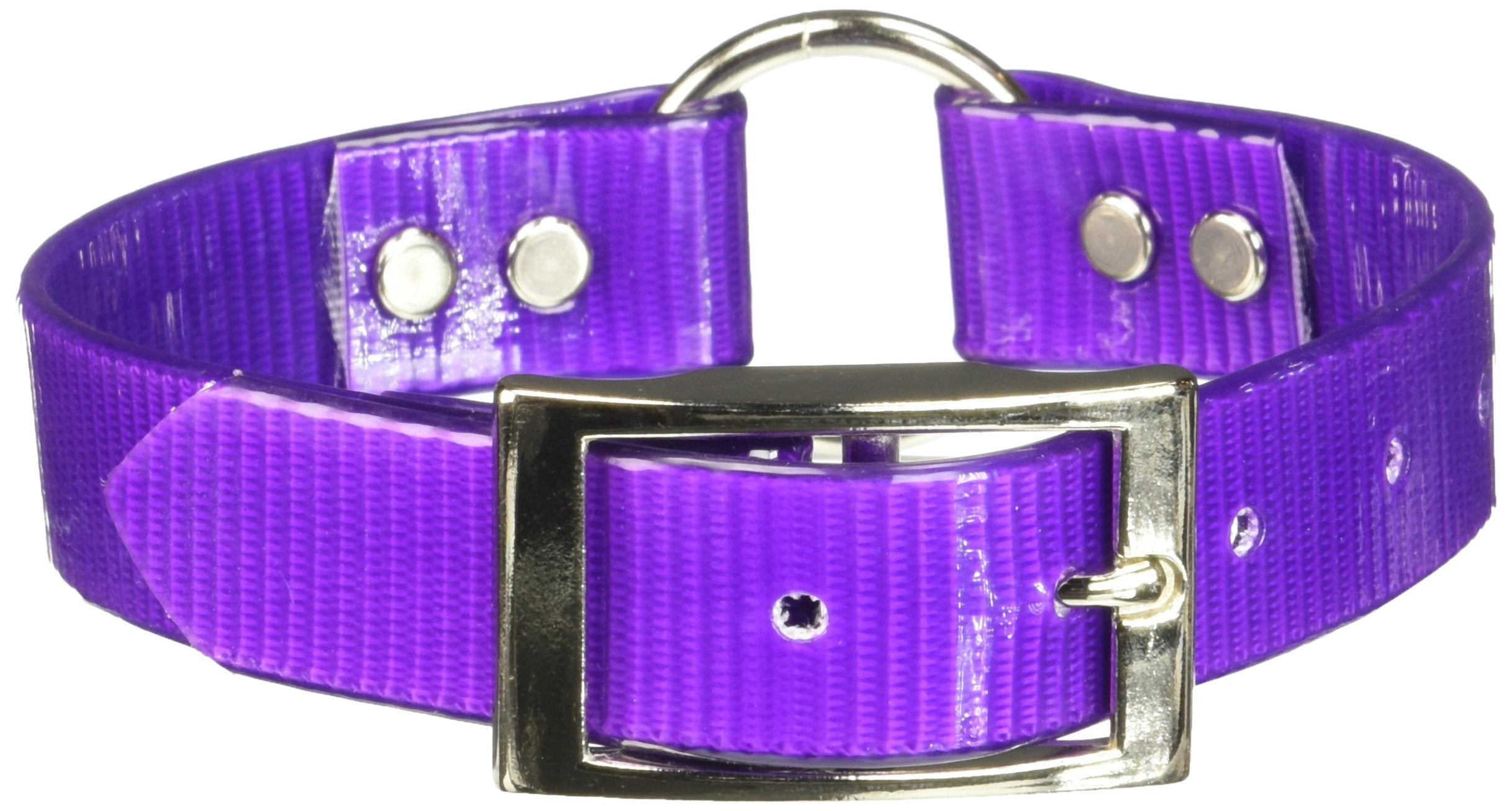 Omnipet Sunglo Ring-In-Center Dog Collar, 1' Wide, Purple, Fits 12'- 15.5' Neck Sizes, Vibrant Colors & Tough Construction Fo
