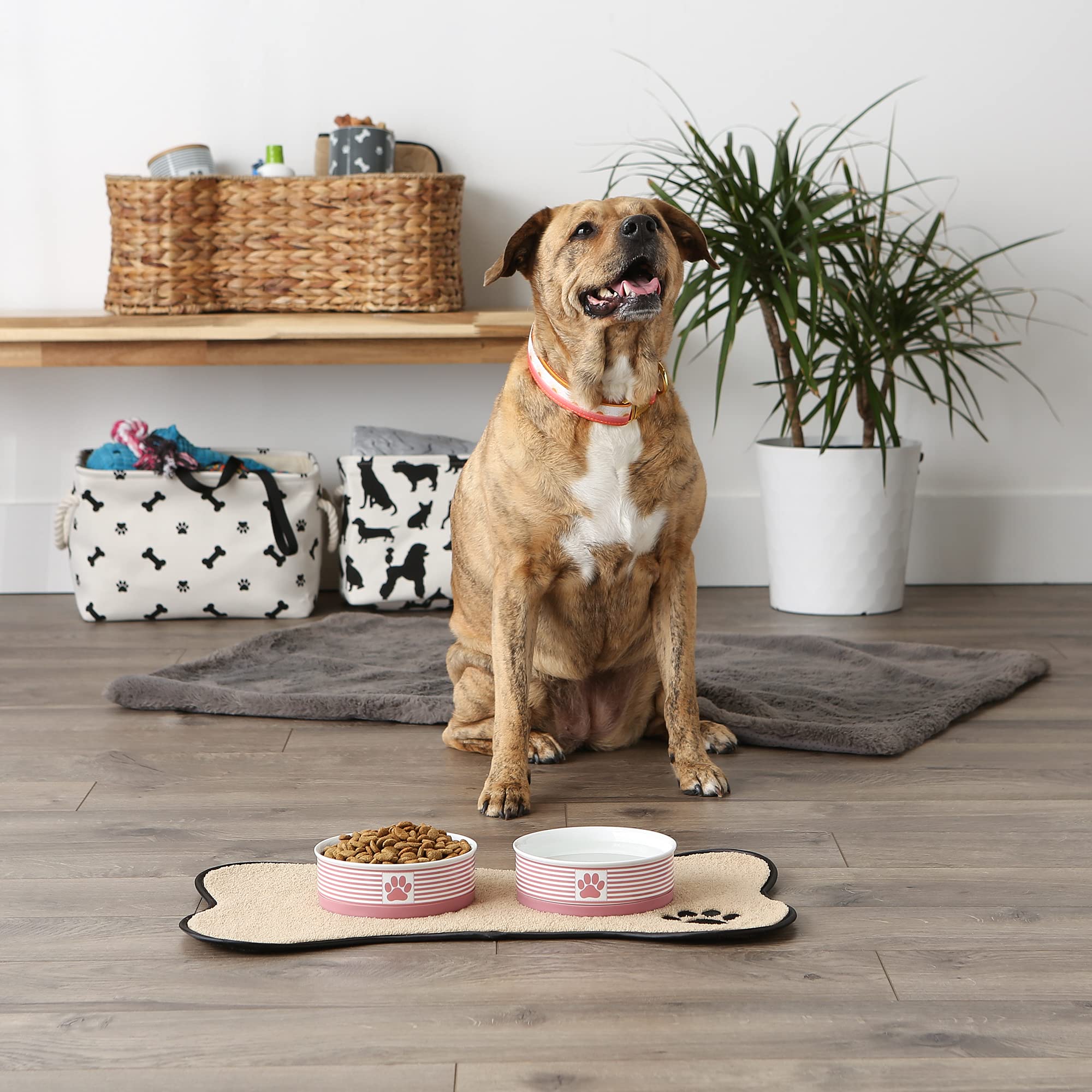 Bone Dry Paw & Patch Ceramic Pet Collection, Medium Set, 6x2, Rose, 2 Piece,5742