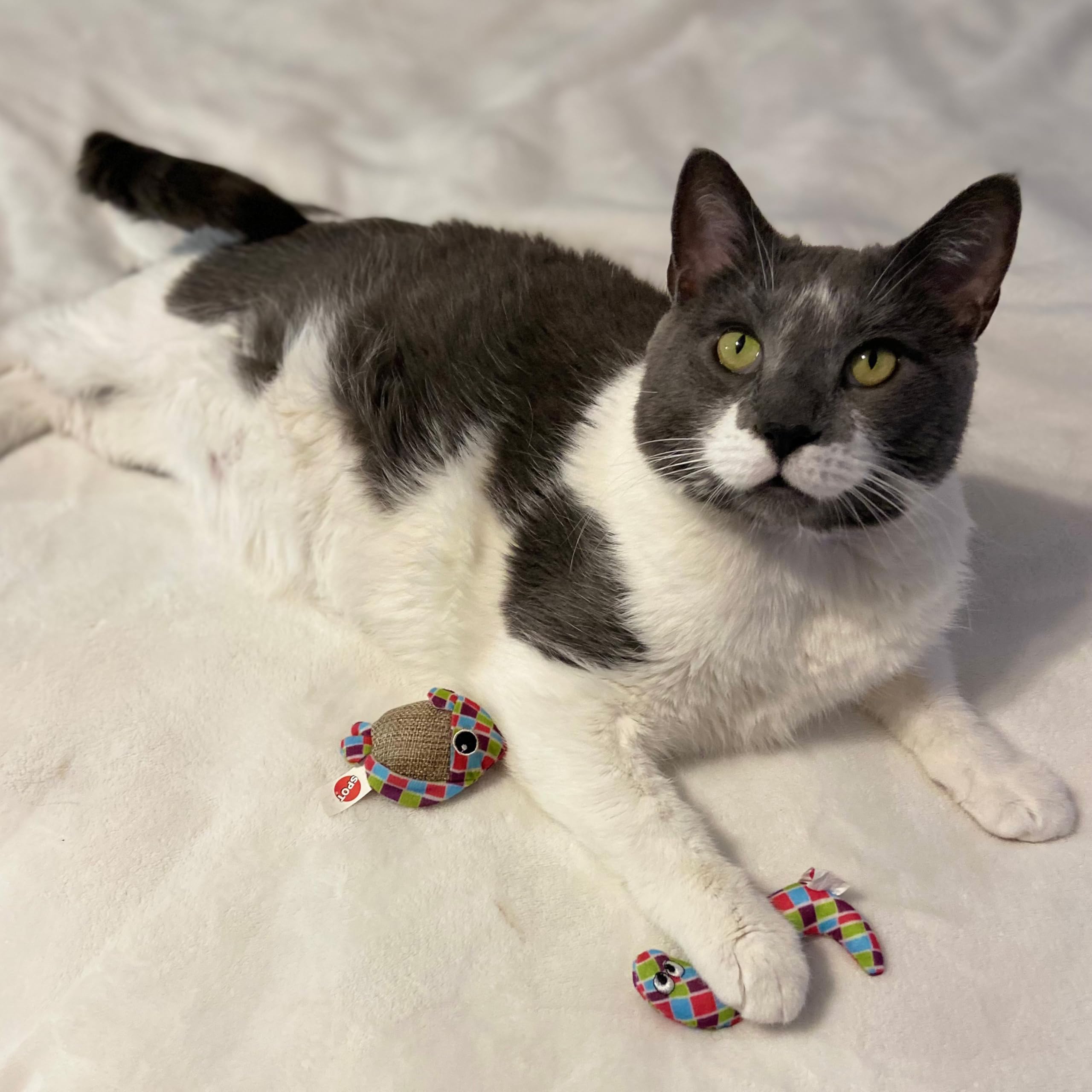 Spot Catch N' Release Cat Toy With Irresistible Texture And Catnip, Indoor Cat Essentials, For Cats And Kittens, 2 Assorted Figures