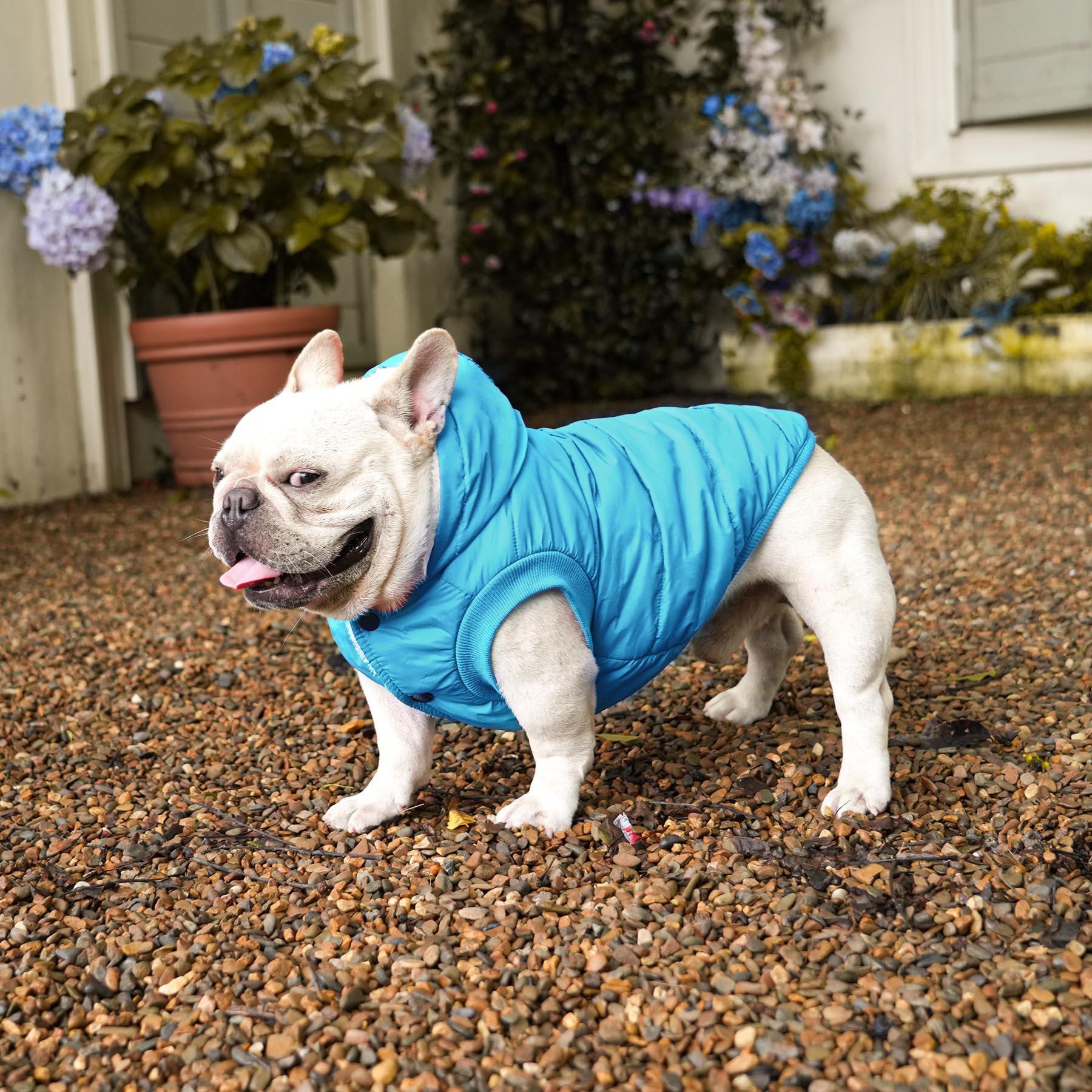 Vecomfy Fleece Lining Extra Warm Dog Hoodie In Winter For Large Dogs Jacket Pet Coats With Hooded,Light Blue Xl