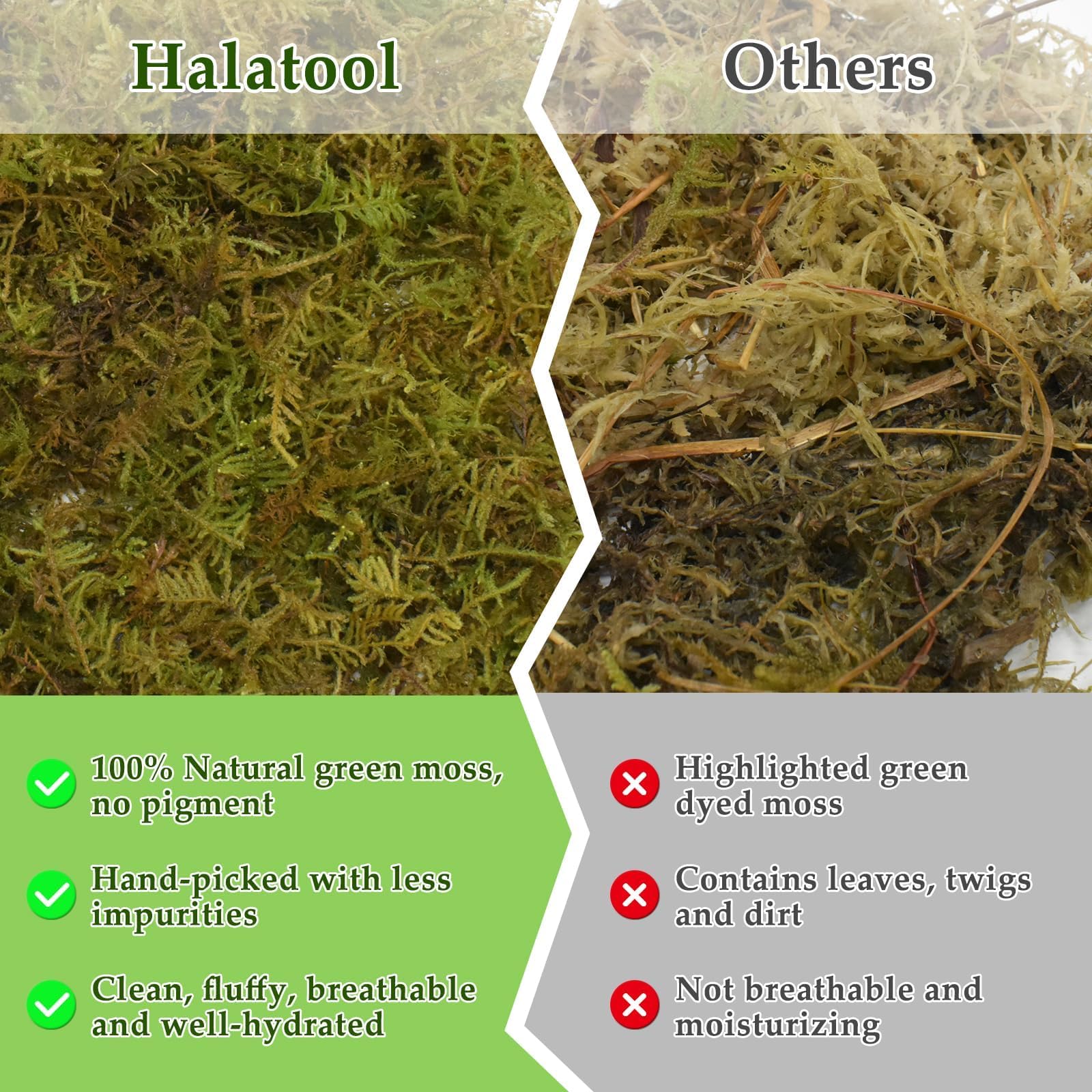 Halatool 2.2Lb Natural Sphagnum Moss For Reptiles- 50Qt Green Live Moss For Terrarium Plants Long Fiber Reptile Moss For Leopard