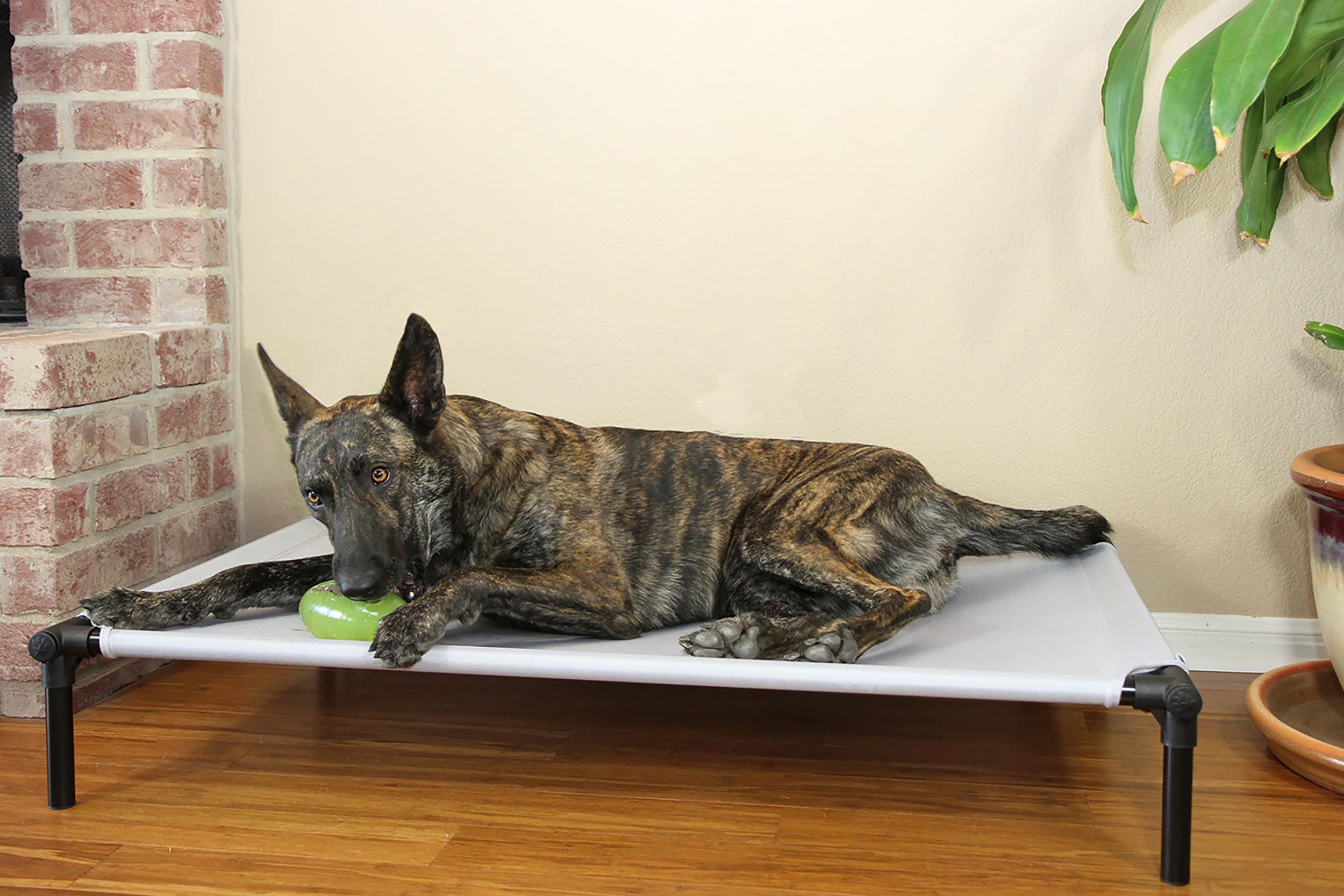 Starmark Dog Zone Bed Medium Charcoal