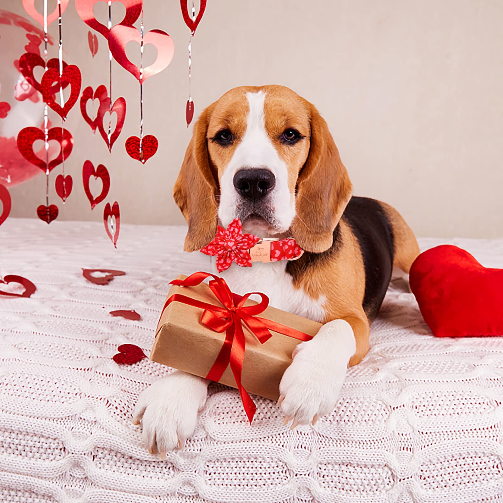 Babole Pet Valentine'S Day Dog Collar With Flower Tie, Pink Red Love Male Dog Collar With Safety Metal Buckle Adjustable Puppy Collars For Small Medium Large Boy & Girl Dog,Xl-Neck 16'-26'