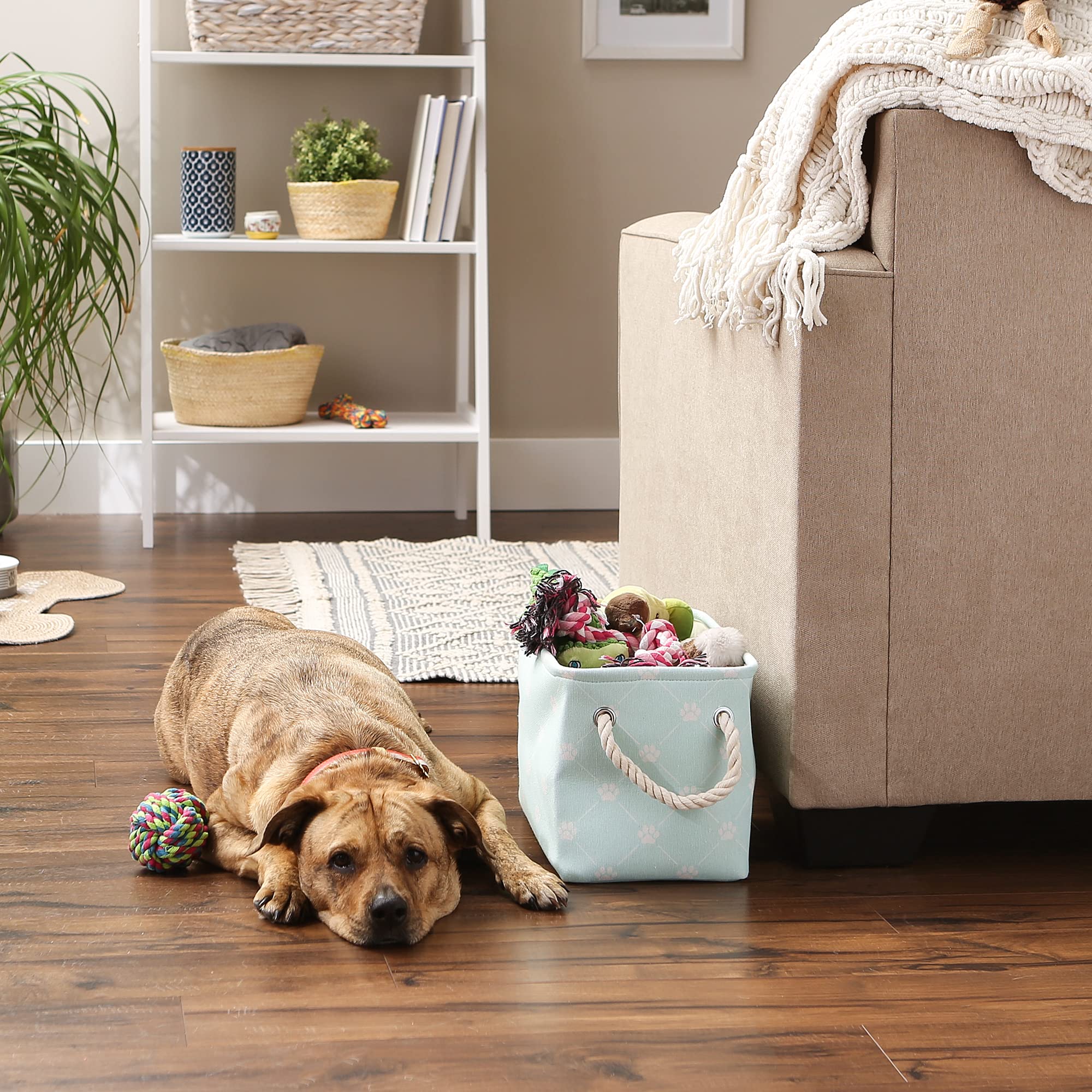 DII Polyester Pet Bin Trellis Paw Light Aqua Rectangle Small