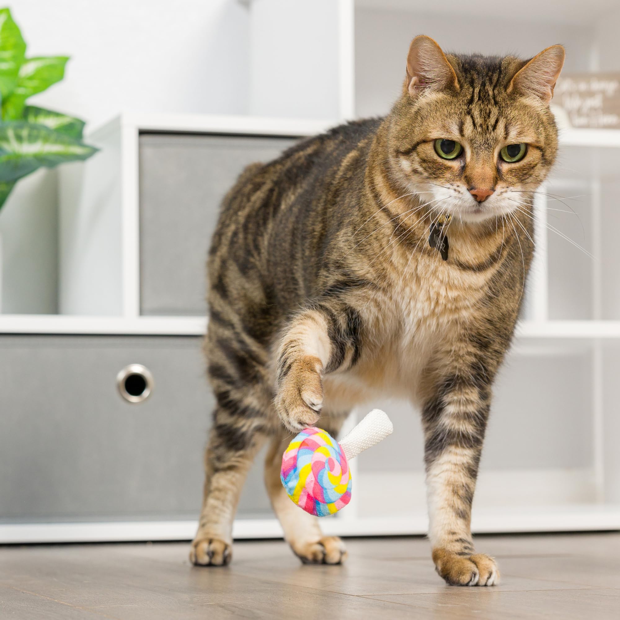 Huxley & Kent Plush Cat Toy - I'M Sweet Lollipop - Easter/Spring Snack Attack Strong Catnip Filled - Plush Interactive Kitten An