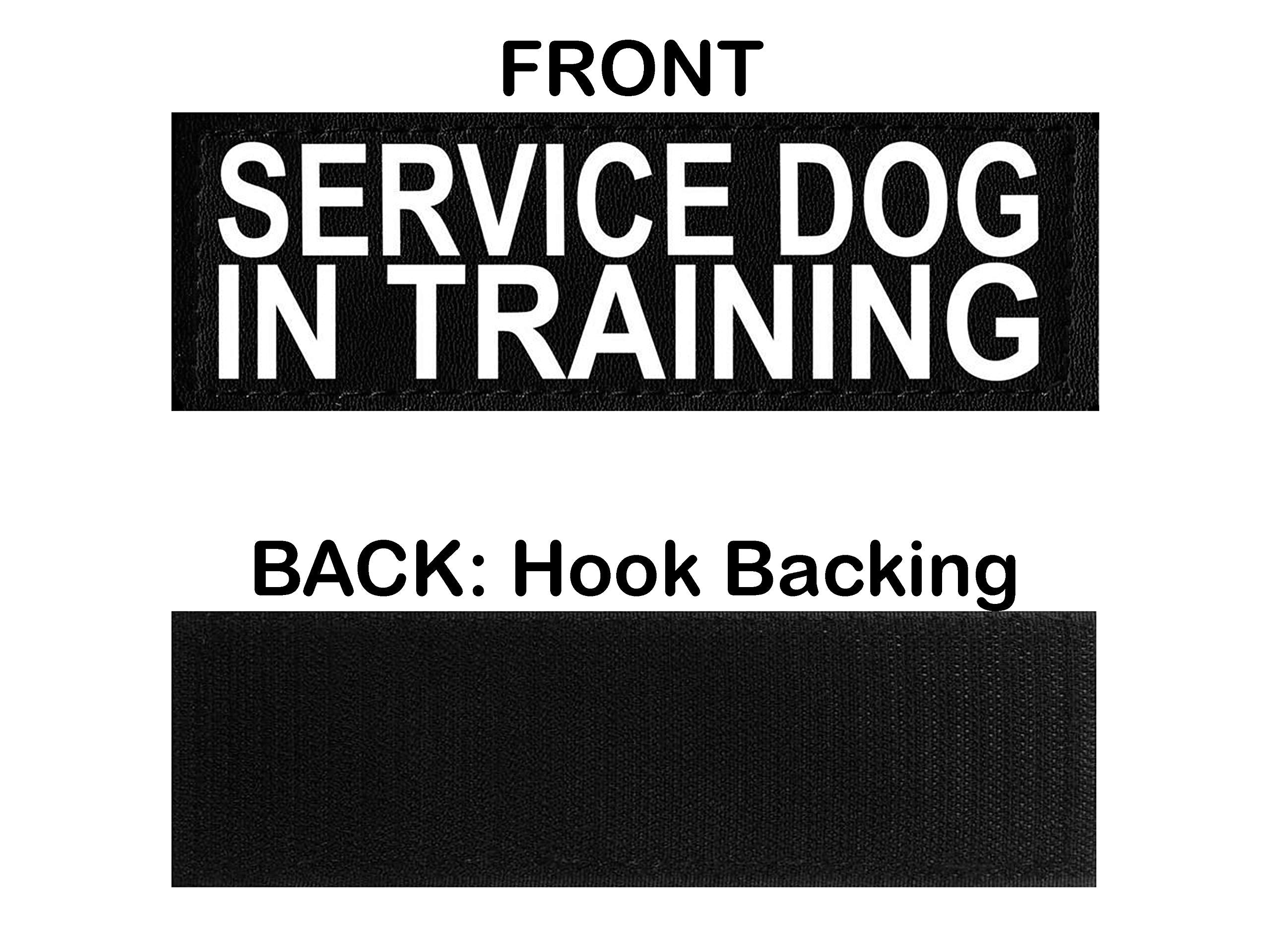 Set Of 2 Reflective Service Dog In Training Patches For Service Dog Harnesses & Vests. (Medium 4' X 1.5')
