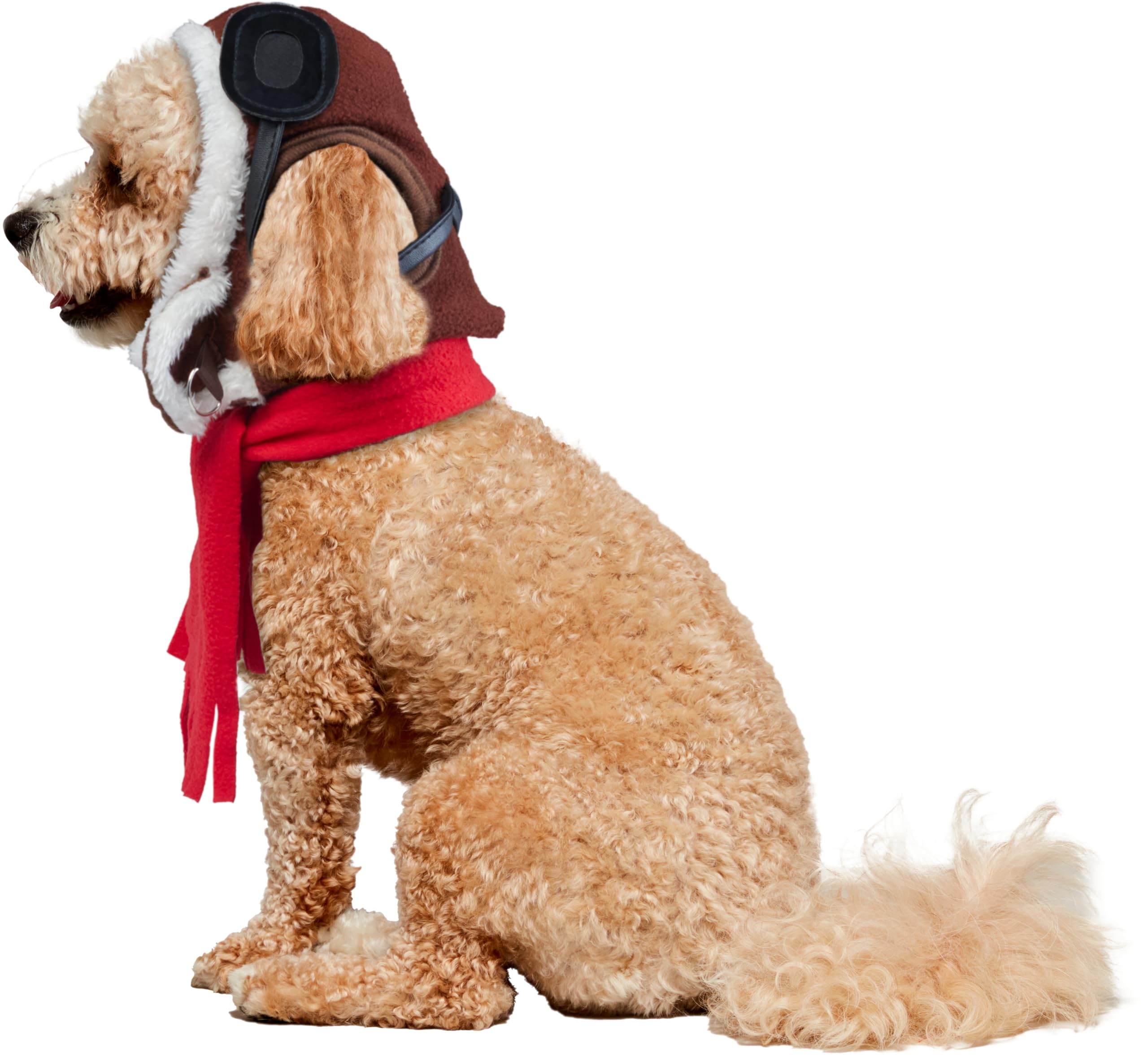 Rubies Aviator Pet Hat & Scarf Set for Dogs or Cats, S/M