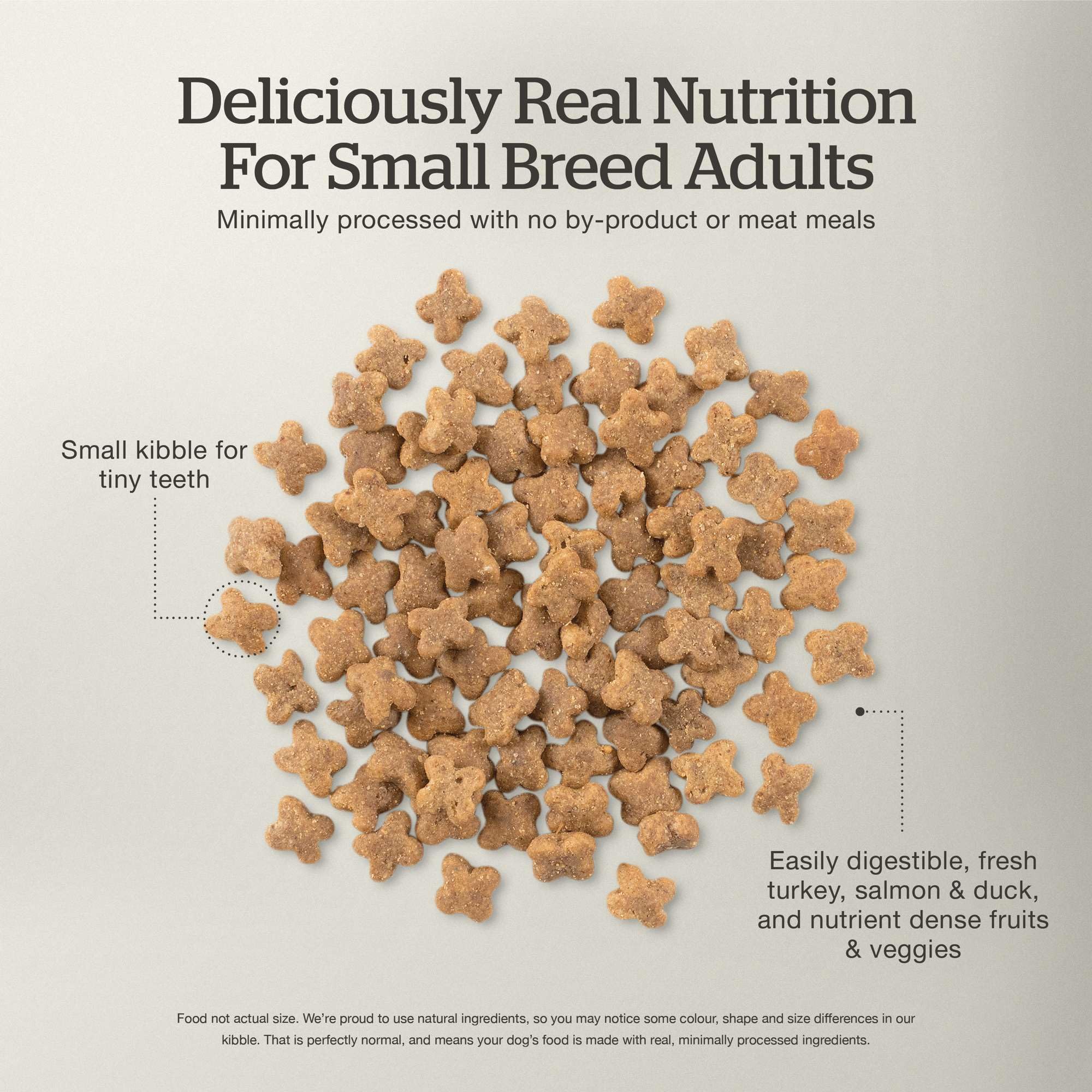 Now Fresh Grain-Free Small Breed Dry Dog Food with Turkey, Salmon & Duck, Healthy Kibble Made with Real Poultry & Fish, Chicken-