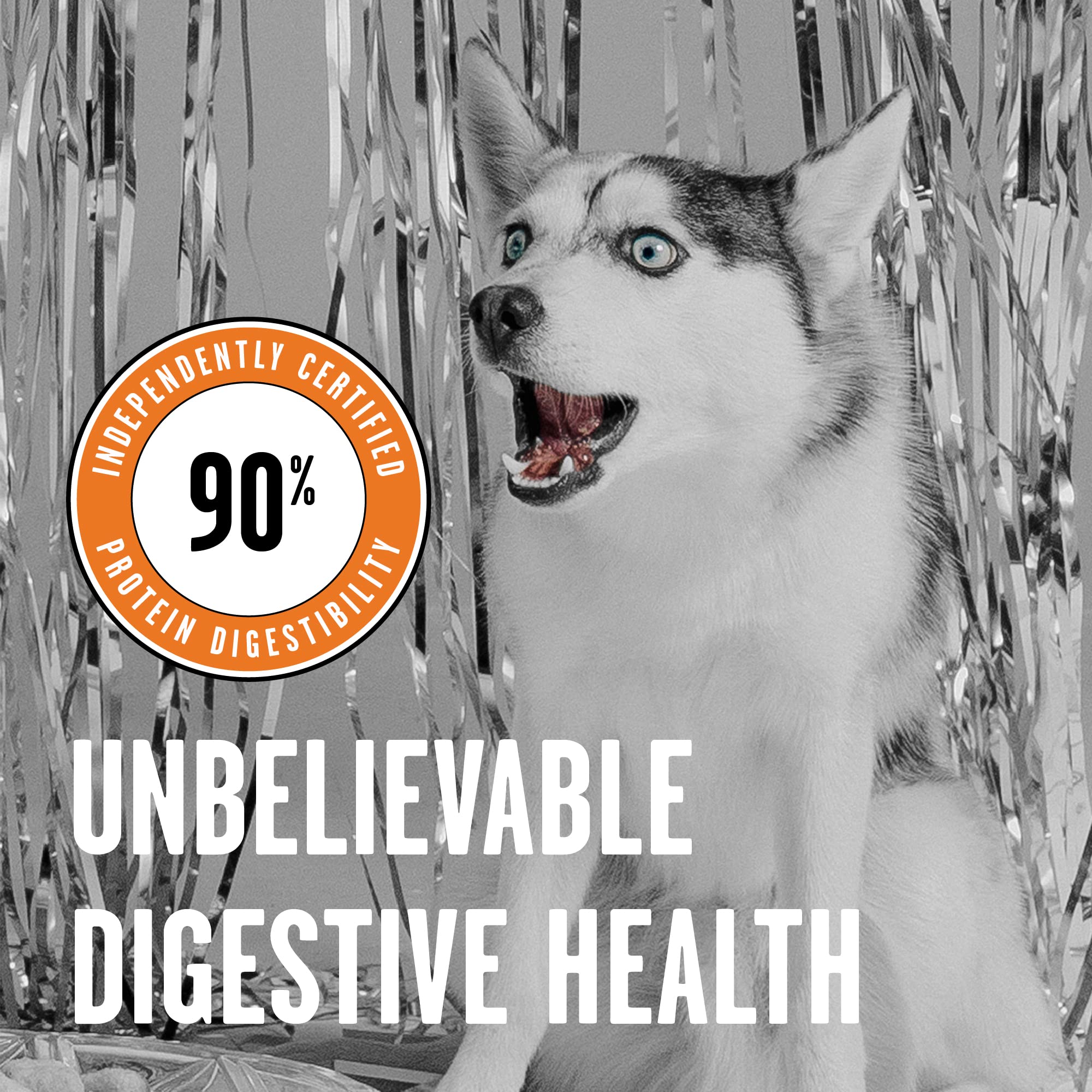 BIXBI Rawbble Dry Dog Food, Chicken, 4 lbs - USA Made with Fresh Meat - No Meat Meal & No Corn, Soy or Wheat - Freeze Dried Raw