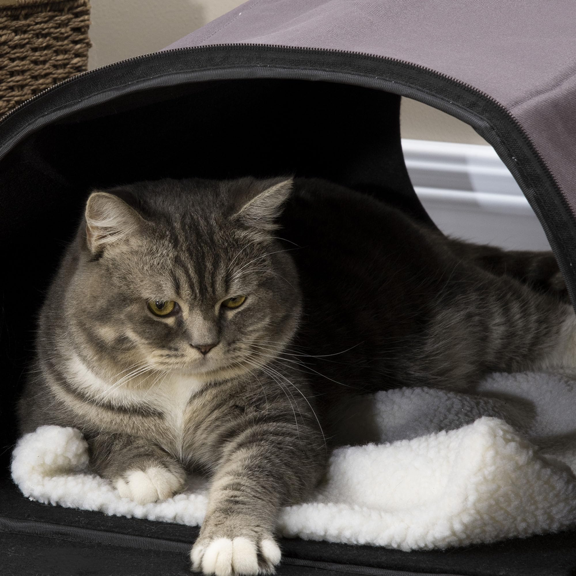 Pawhut Dome Heated Cat House Portable And Waterproof Pet Shelter For Kitty In Winter, Brown