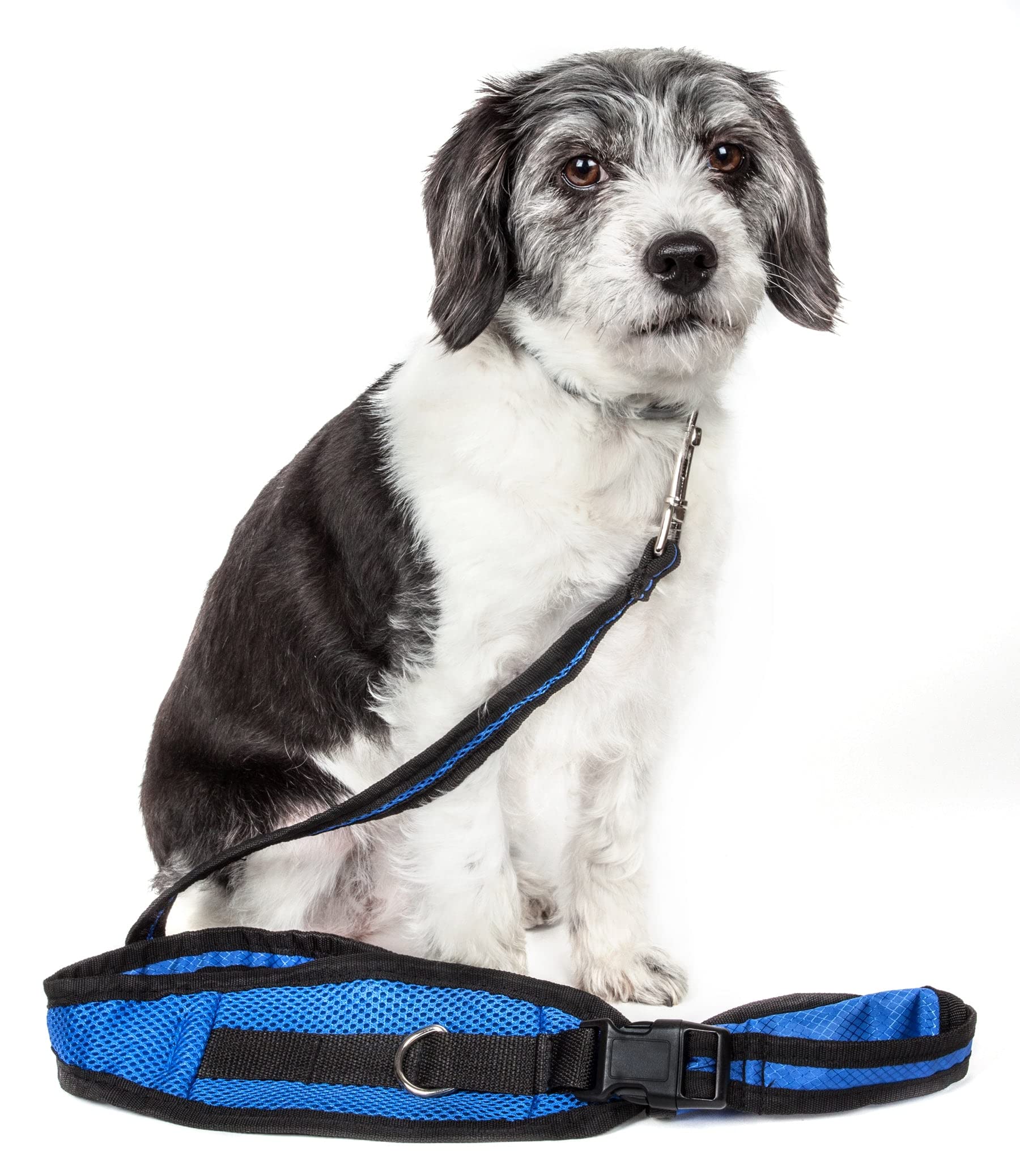 Pet Life  Echelon Hands Free And Convertible 2-In-1 Training Dog Leash And Pet Belt With Pouch