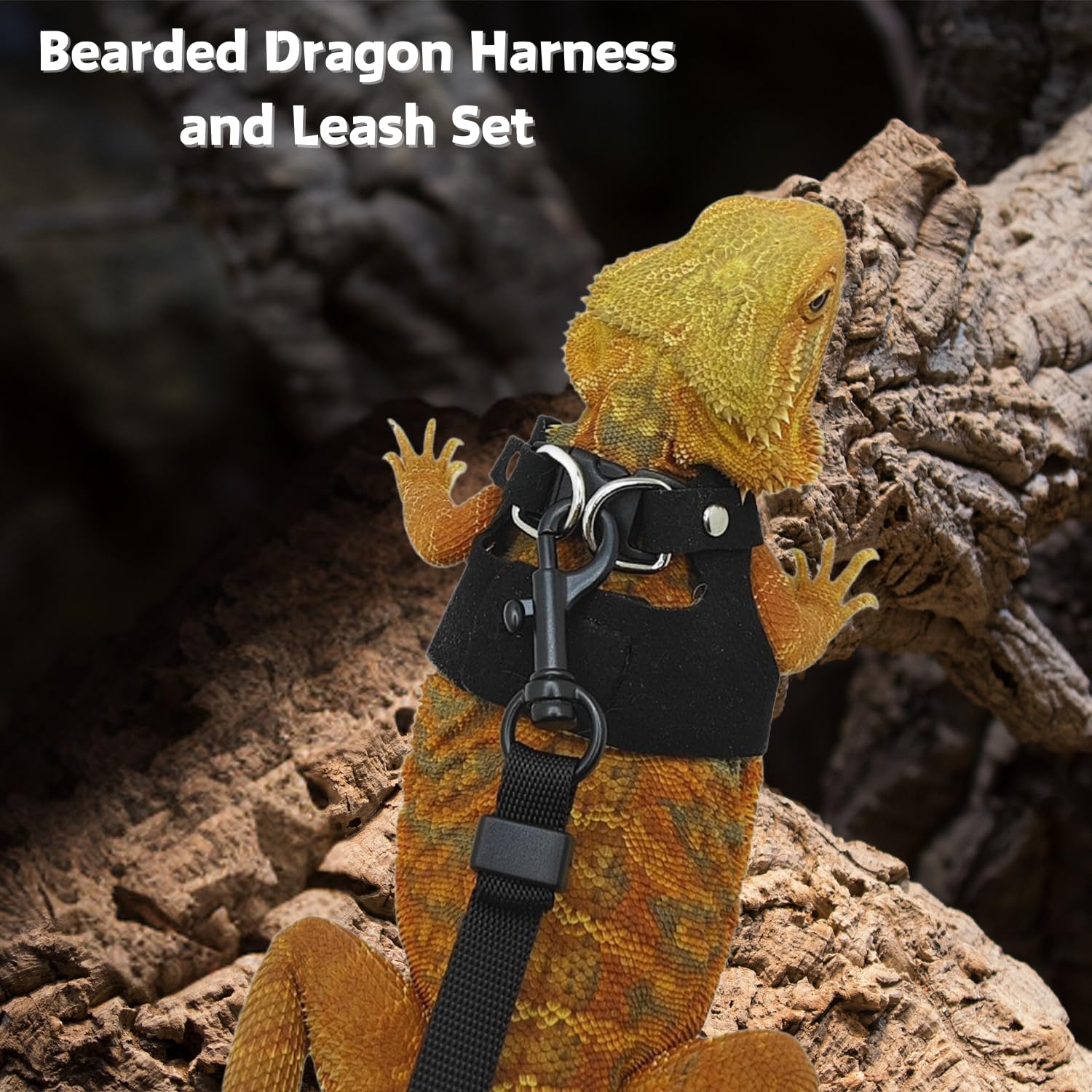SEZDEKI Bearded Dragon Harness and Leash Set - Adjustable Leather Small Animal Vest, Black, Model LZ-2MLeash