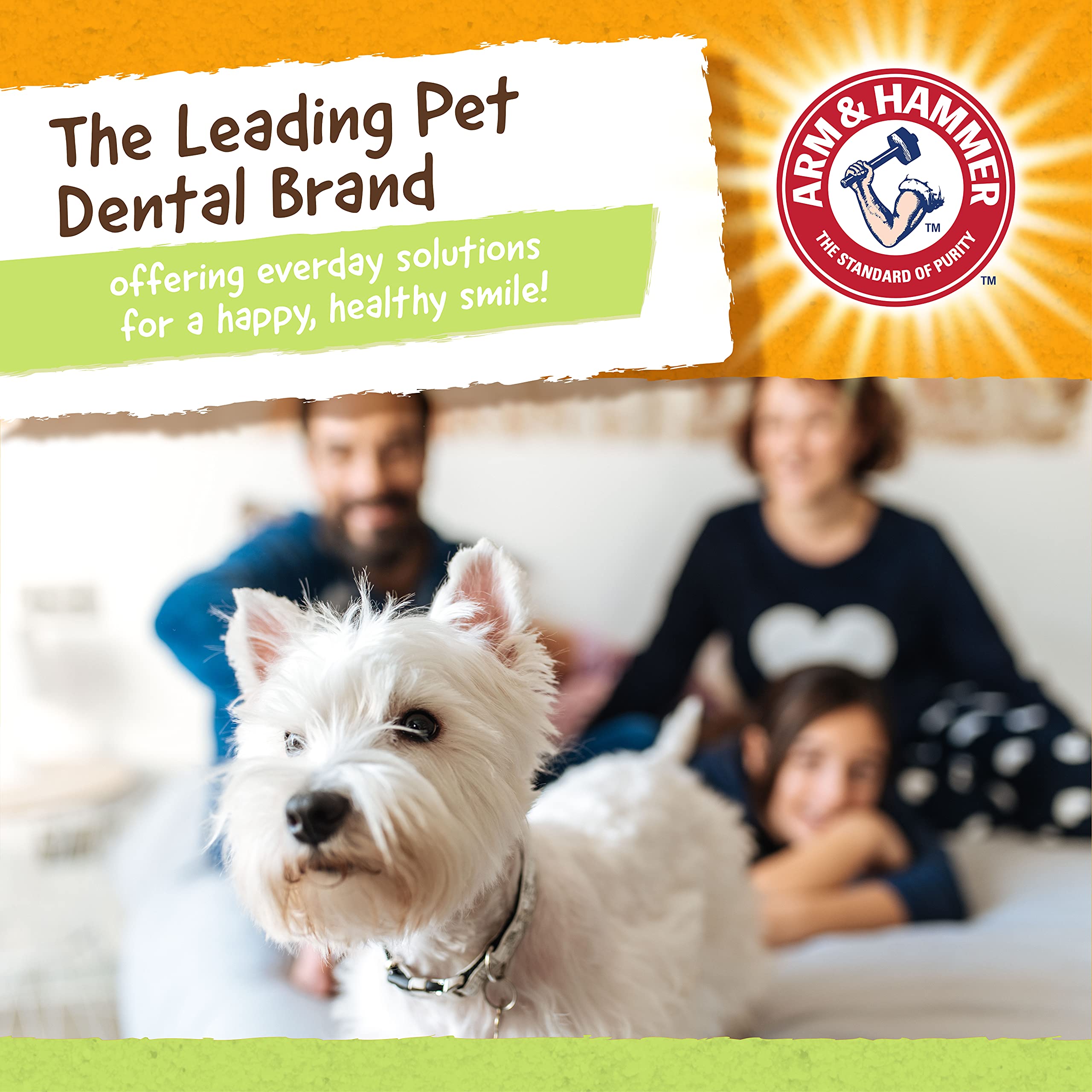 Arm & Hammer For Pets Rock-N-Roller Stuffable Dental Chew Toy For All Breed Sizes, Perfect Fit For Tennis Ball, Dog Chew Toy For