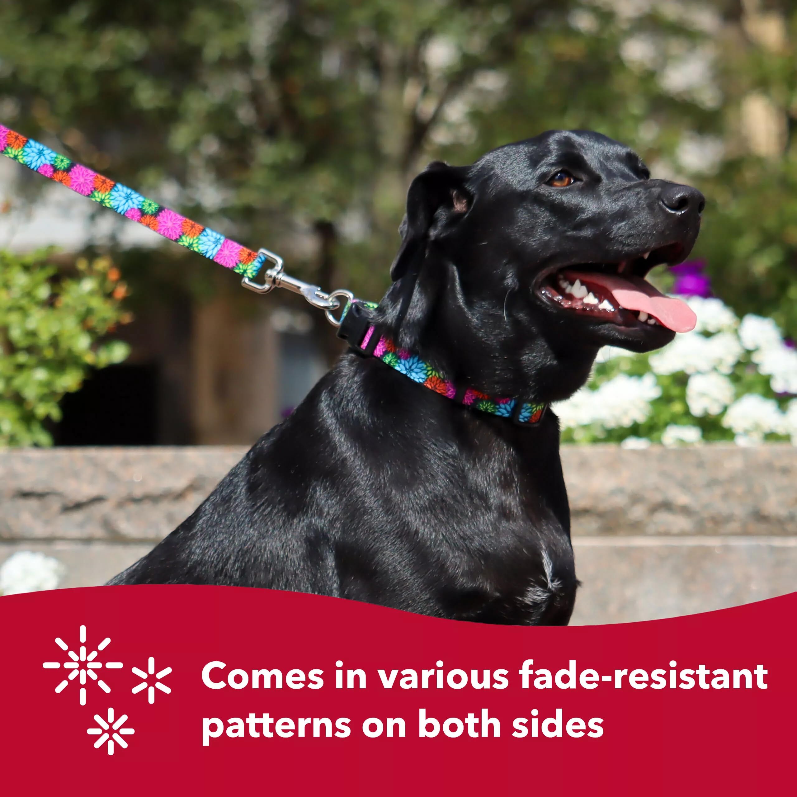 Coastal Pet Styles Adjustable Dog Collar - Stylish Patterned Fabrics - Snap-Lock Buckle - Adjustable Dog Collar - For Small, Medium Or Large Dogs - Red Bones - 3/8' X 08'-12'