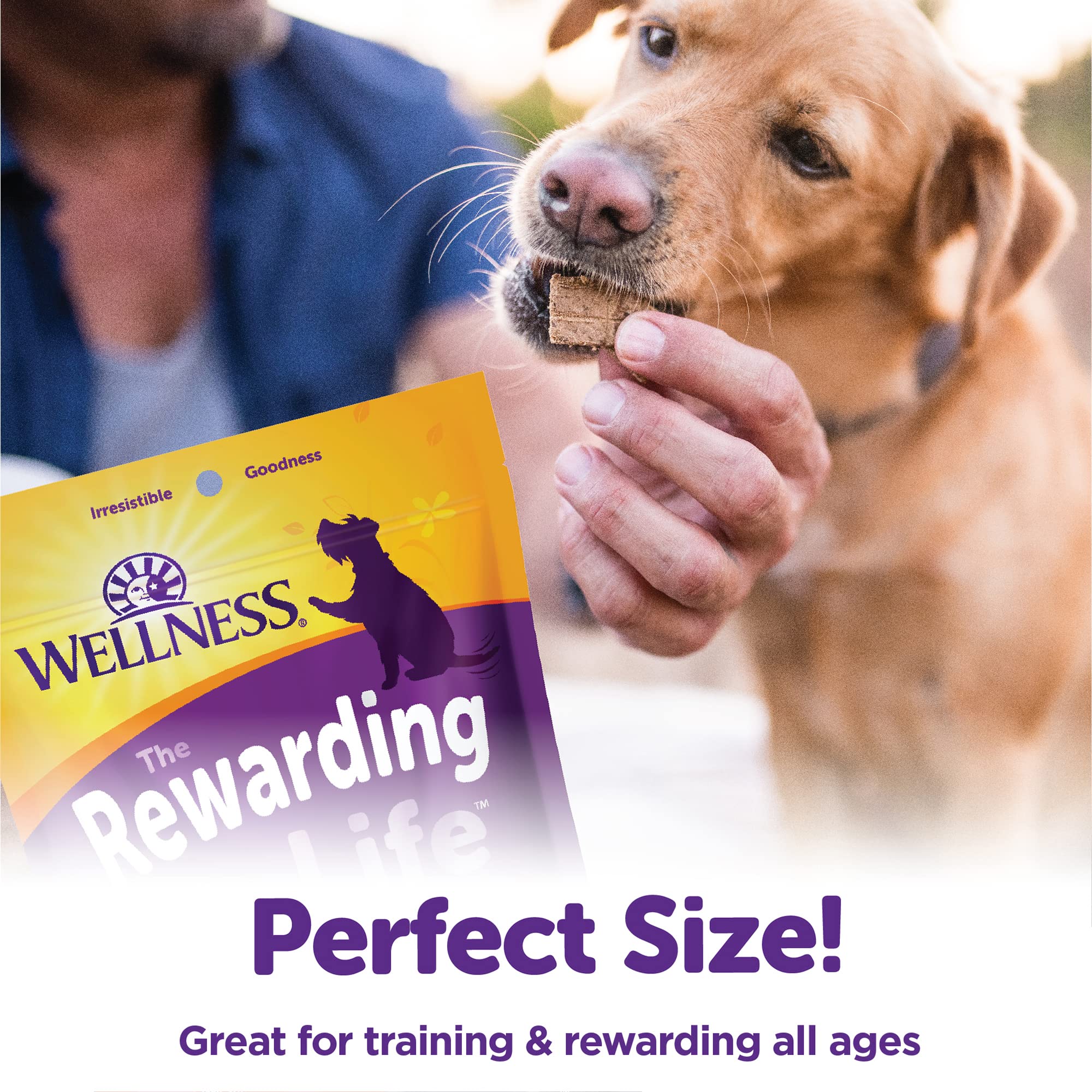 Wellness Rewarding Life Grain-Free Soft Dog Treats, Made in USA with Healthy Ingredients, Ideal for Training (Beef & Turkey Reci
