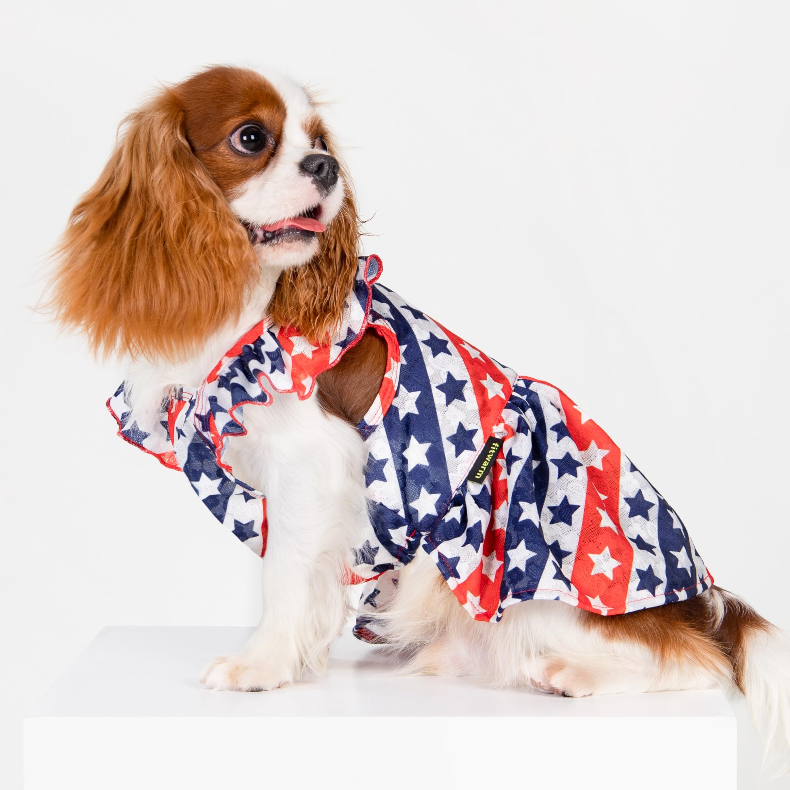 Fitwarm 4th of July Dog Dress, Patriotic Stars Dog Clothes for Small Dogs Girl, Ruffled Dog Princess Dress, Pet Outfit, Red, Blu