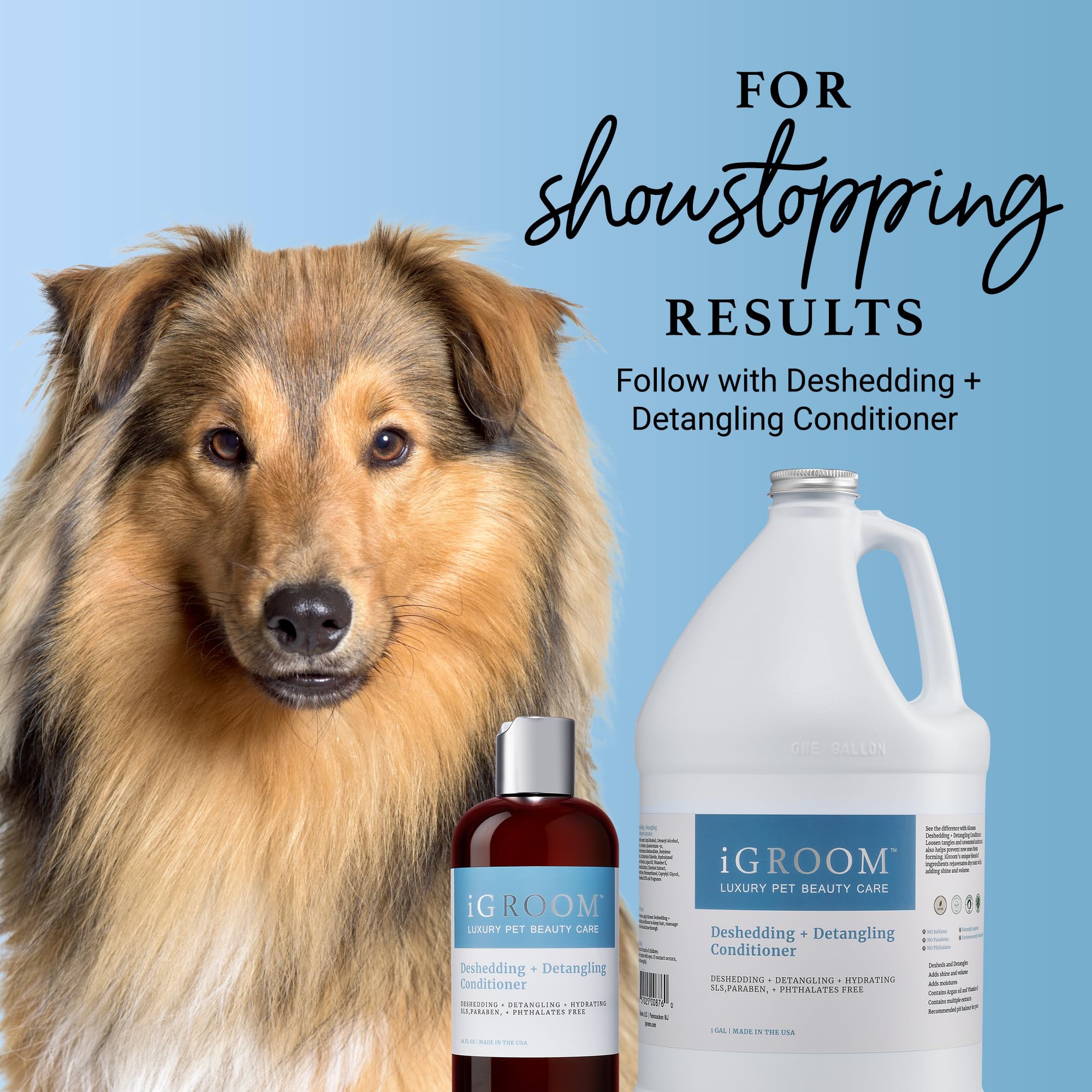 iGroom Deshedding & Detangling Dog Shampoo, 16 OZ, Loosens Tangles, Adds Shine, Made in USA