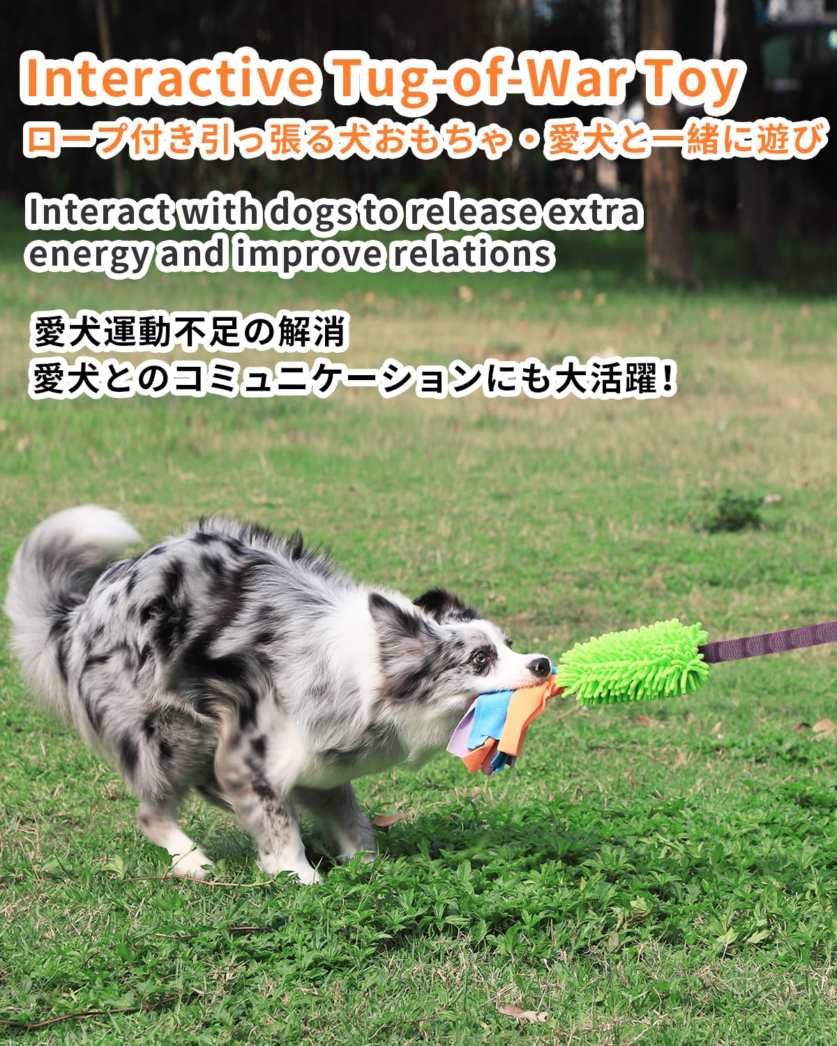Schitec Dog Tug Toy, Bungee Tug Of War Rope Toys With Squeaky Sound For Small Medium Large Dogs, Puppy Training Pull Toy For Exe