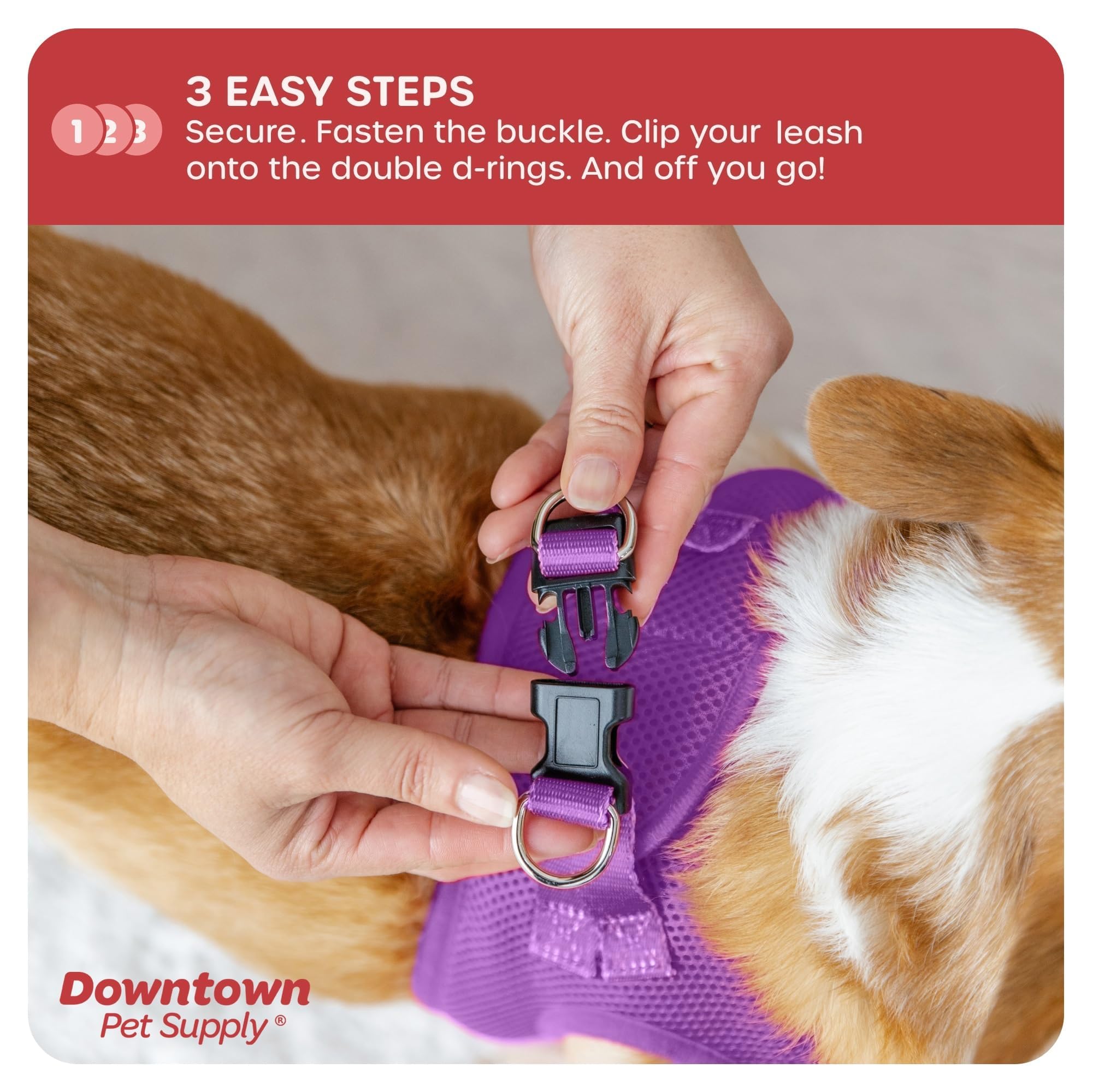 Downtown Pet Supply Step In Dog Harness For Small Dogs No Pull, Small, Purple - Adjustable Harness With Padded Mesh Fabric And R